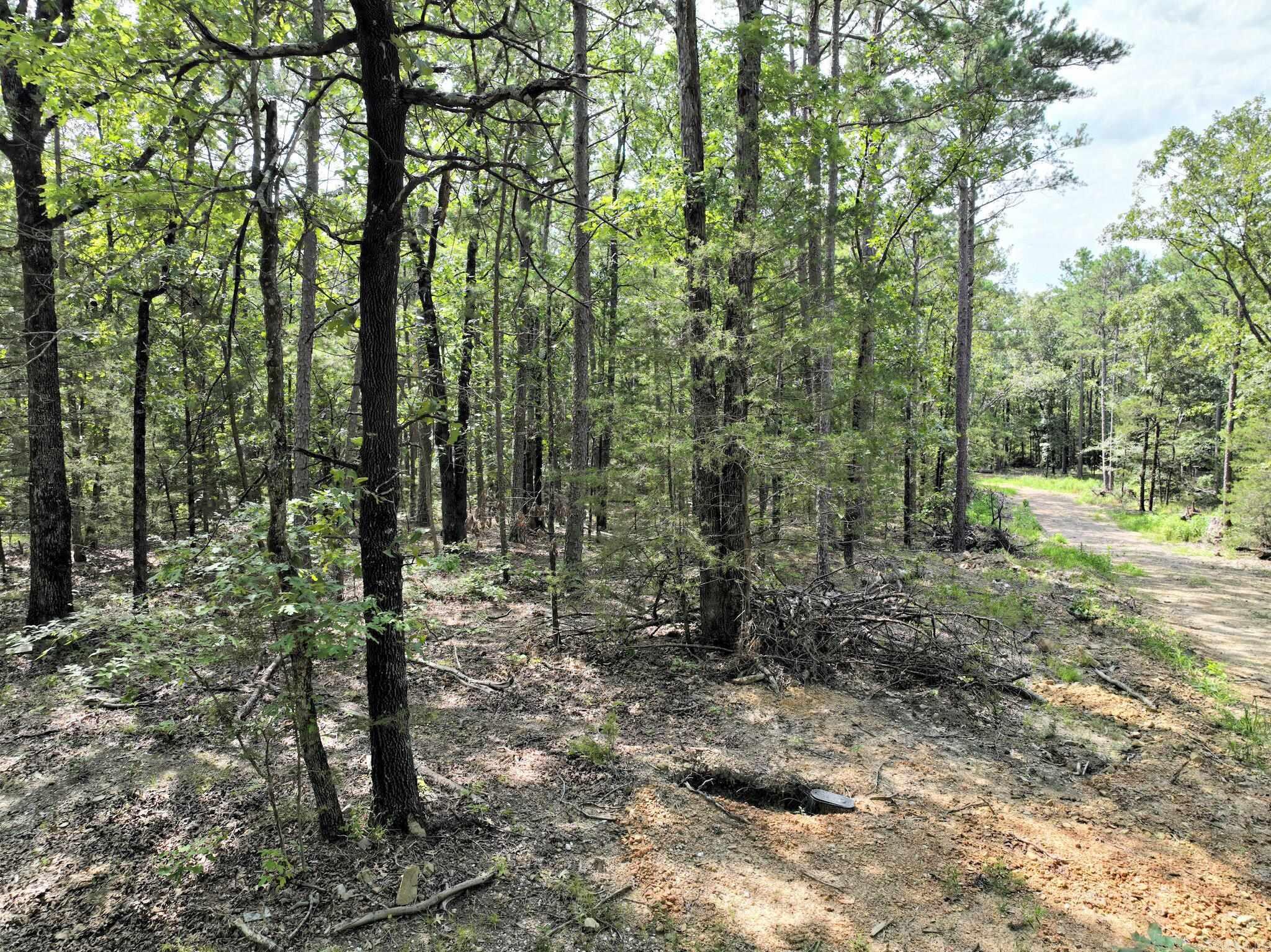 TBD  Rolling Oaks Lane  Mena, AR