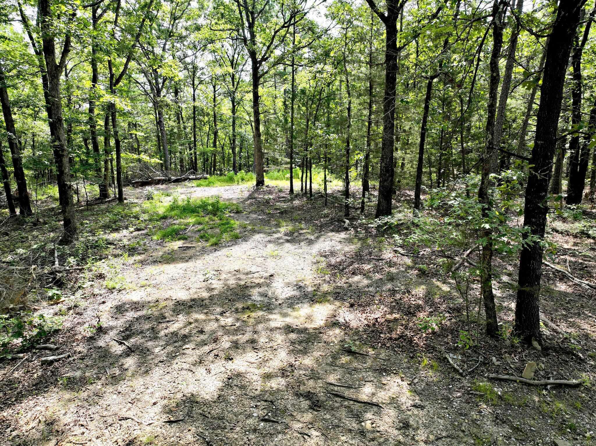 TBD  Rolling Oaks Lane  Mena, AR