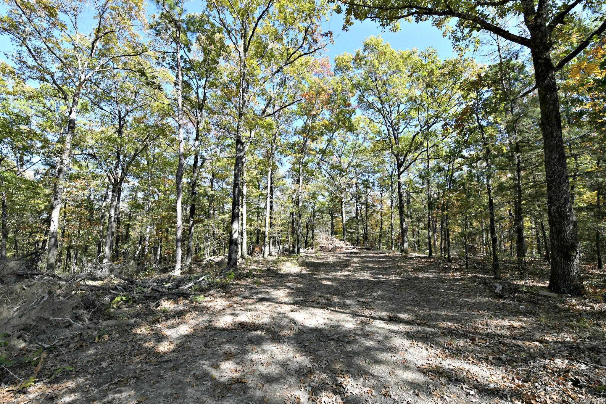TBD  Rolling Oaks Lane  Mena, AR