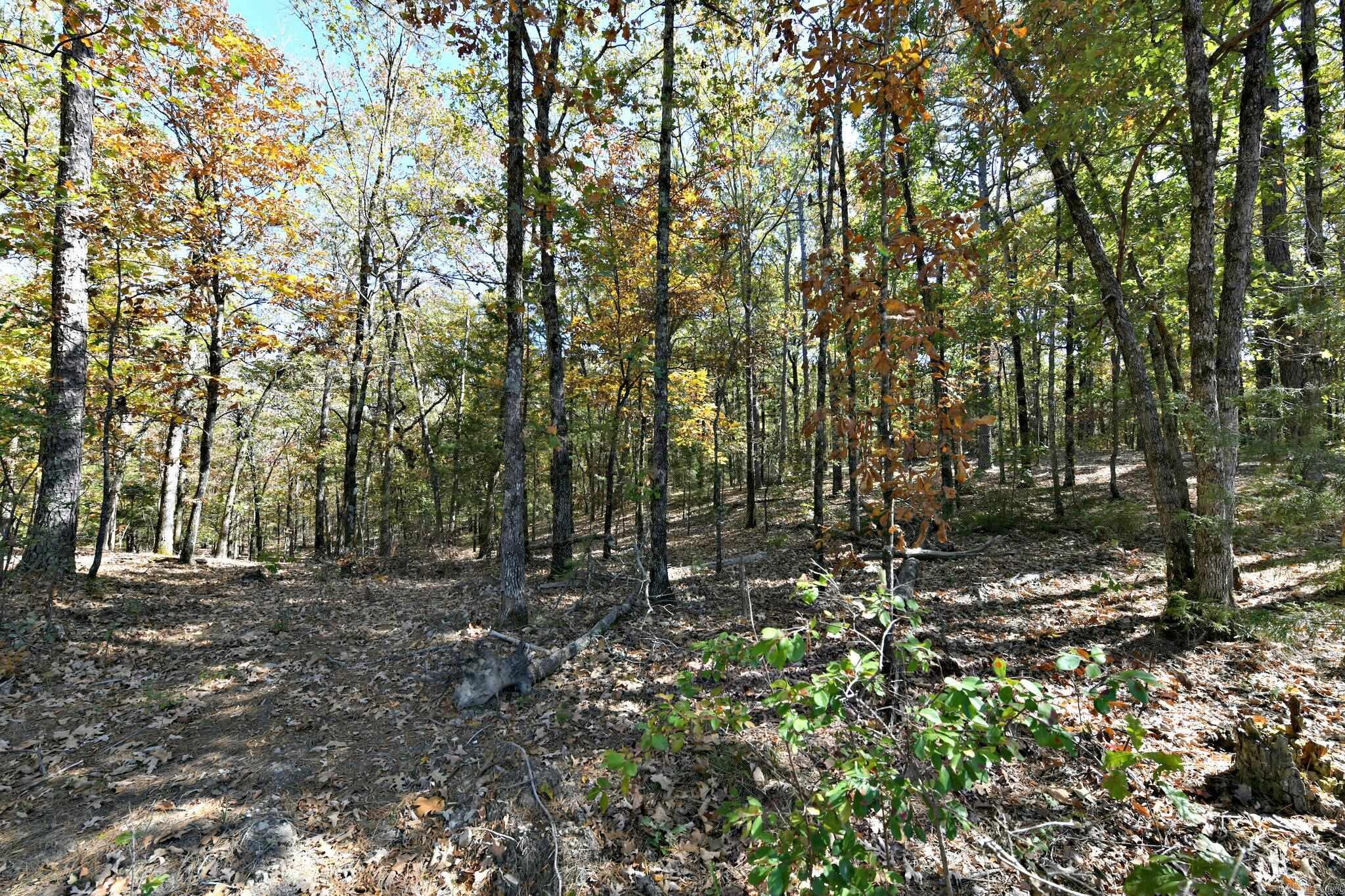 TBD  Rolling Oaks Lane  Mena, AR
