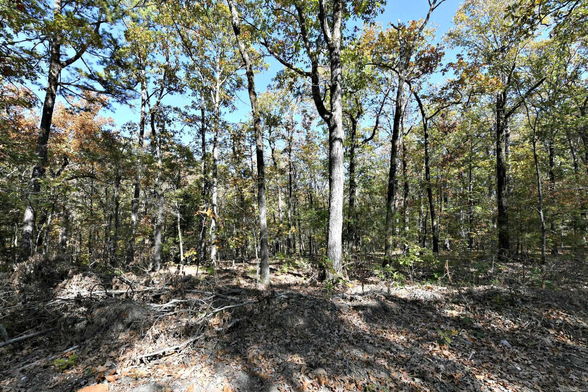 TBD  Rolling Oaks Lane  Mena, AR