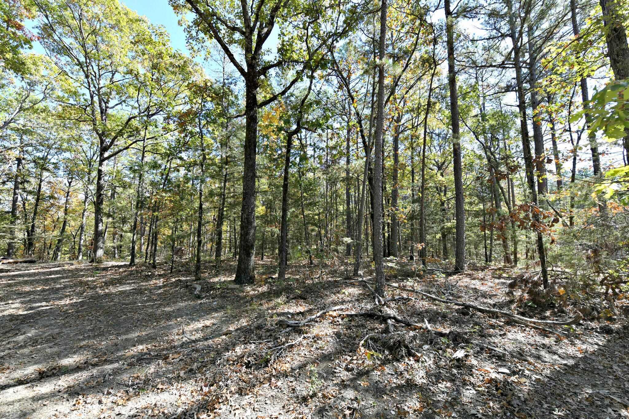 TBD  Rolling Oaks Lane  Mena, AR