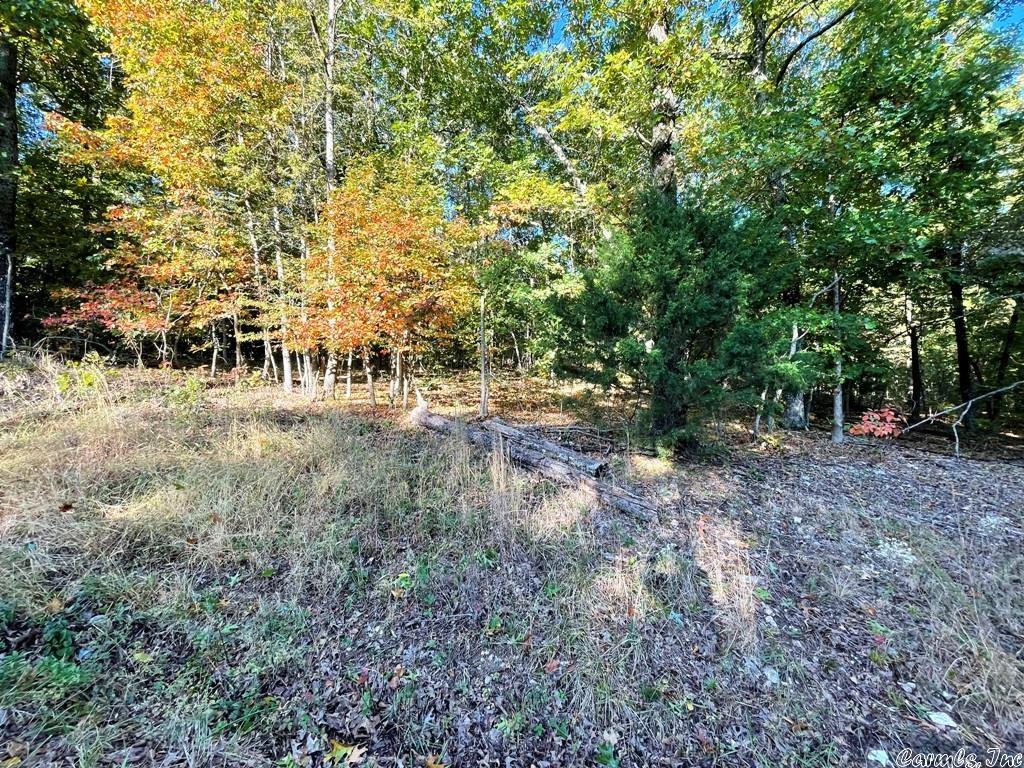 603 W Tongie  Horseshoe Bend, AR