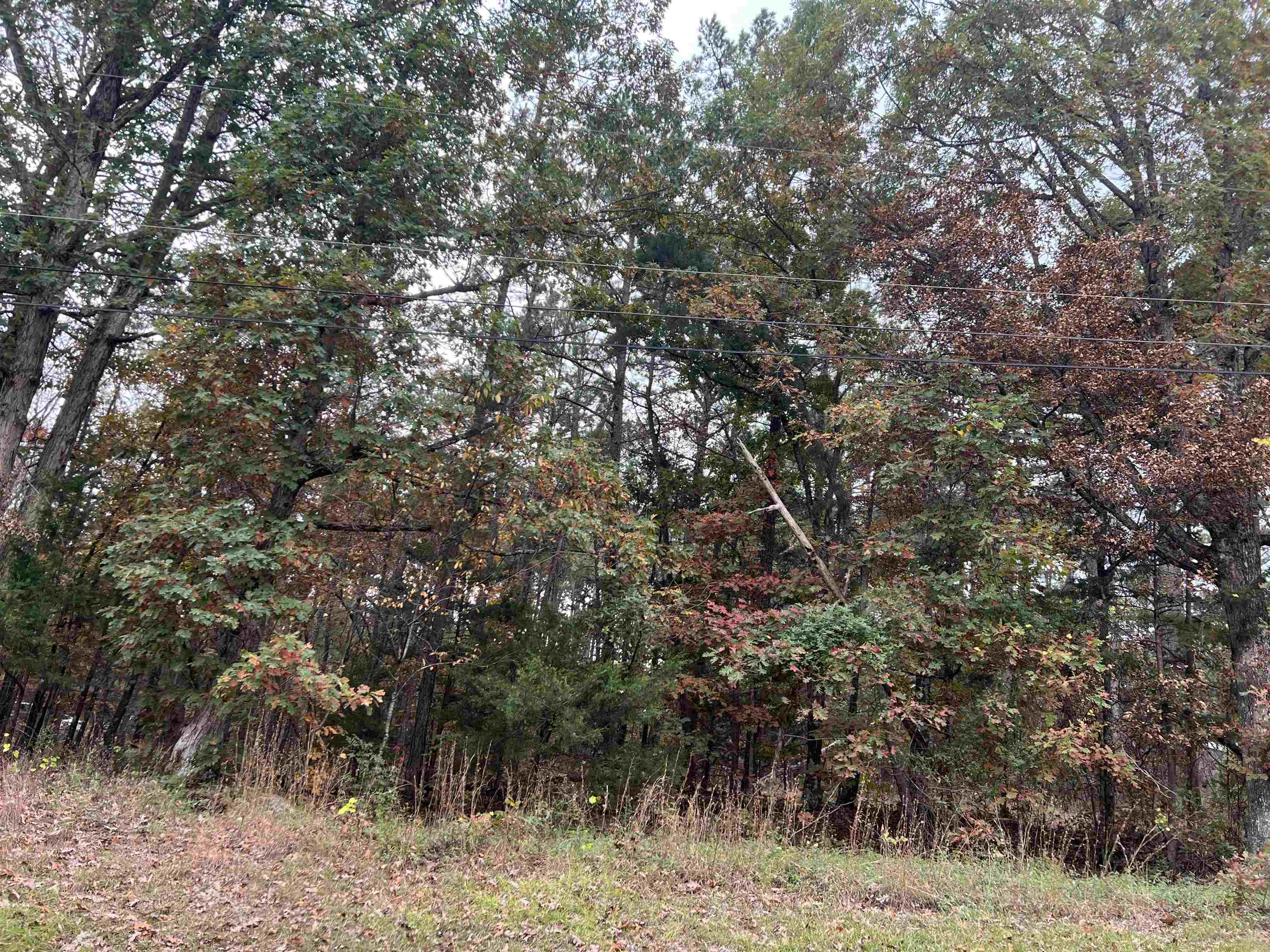 00  Blue Ridge  Fairfield Bay, AR