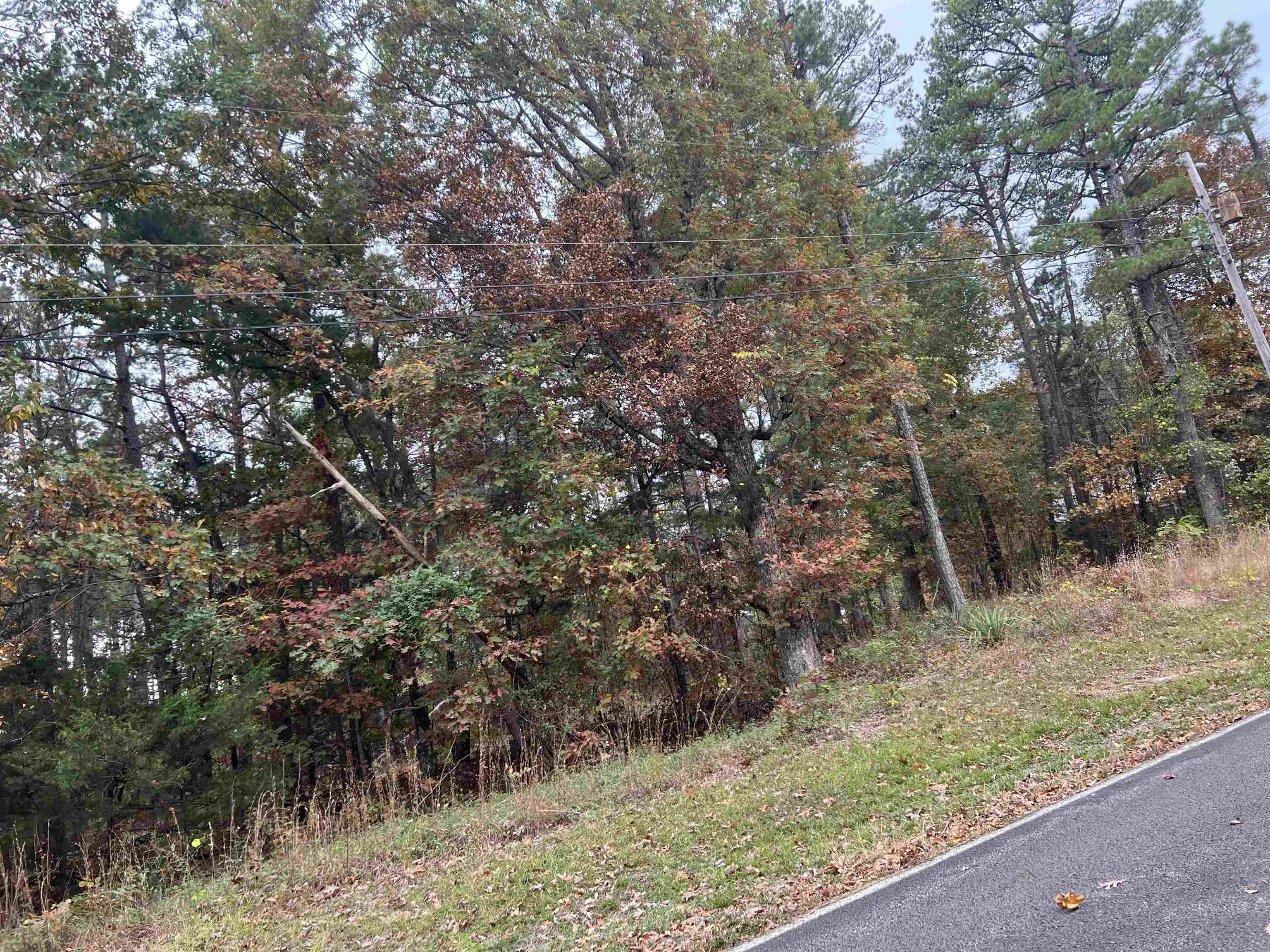 00  Blue Ridge  Fairfield Bay, AR