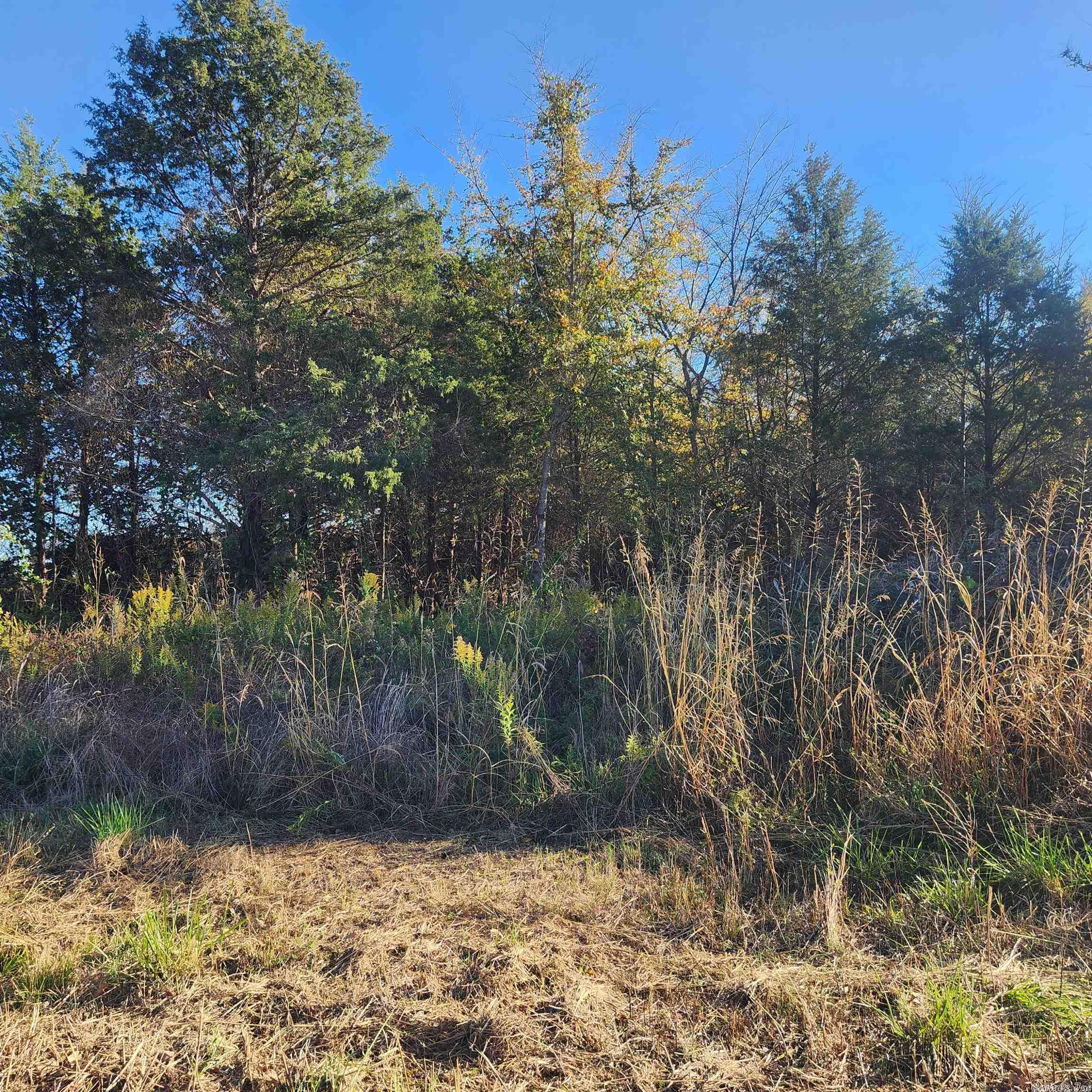 1361-1365  E. Tri Lakes  Horseshoe Bend, AR