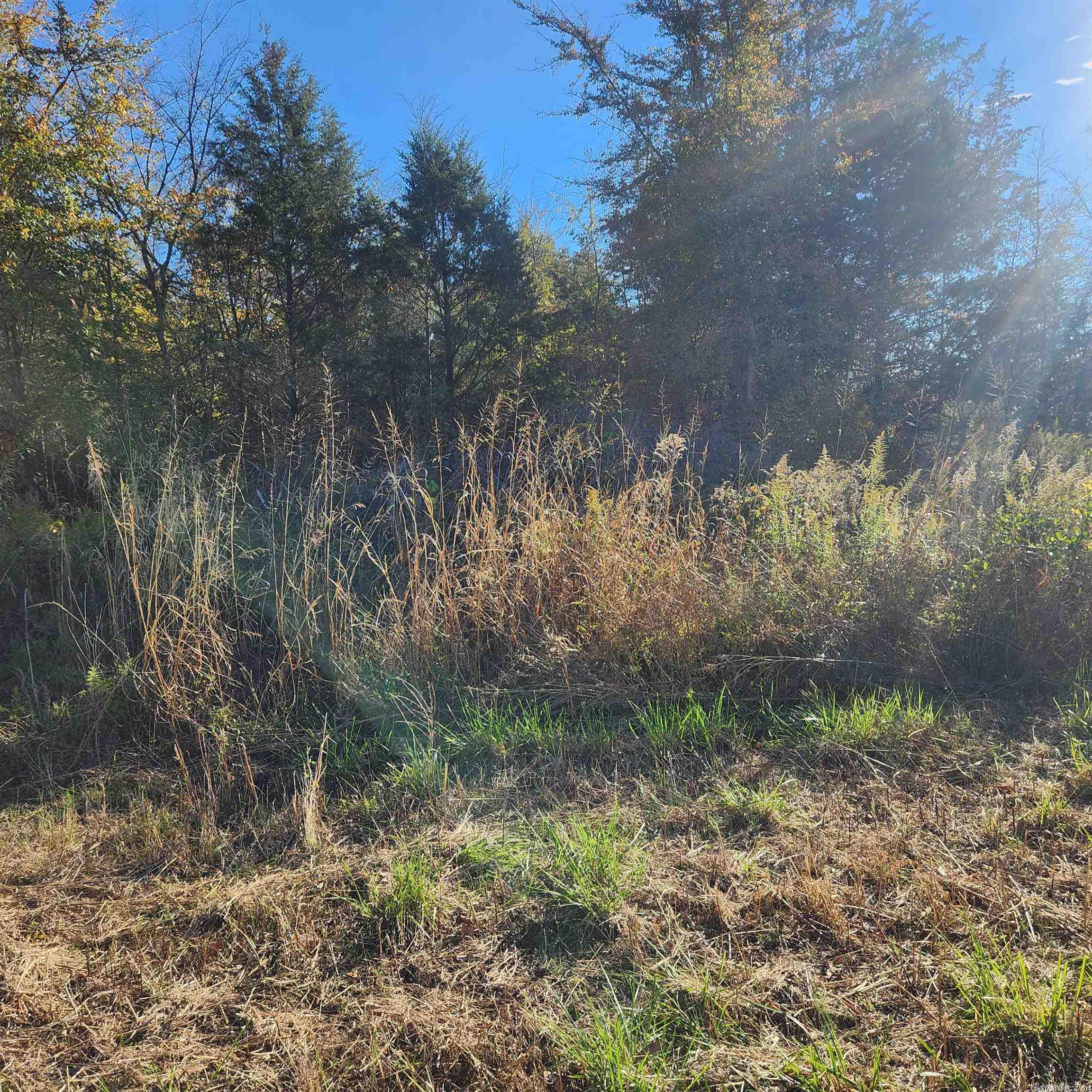 1361-1365  E. Tri Lakes  Horseshoe Bend, AR