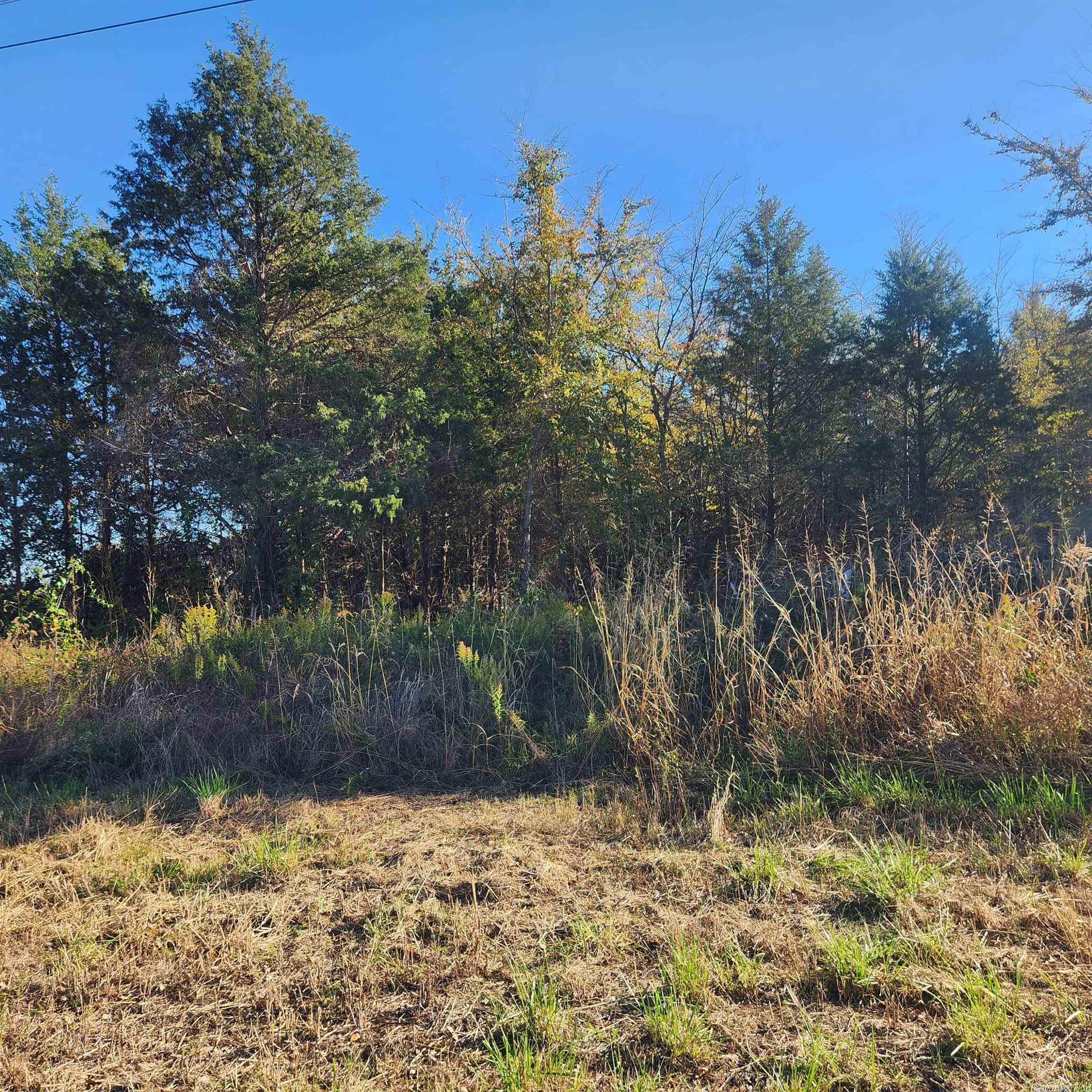 1361-1365  E. Tri Lakes  Horseshoe Bend, AR