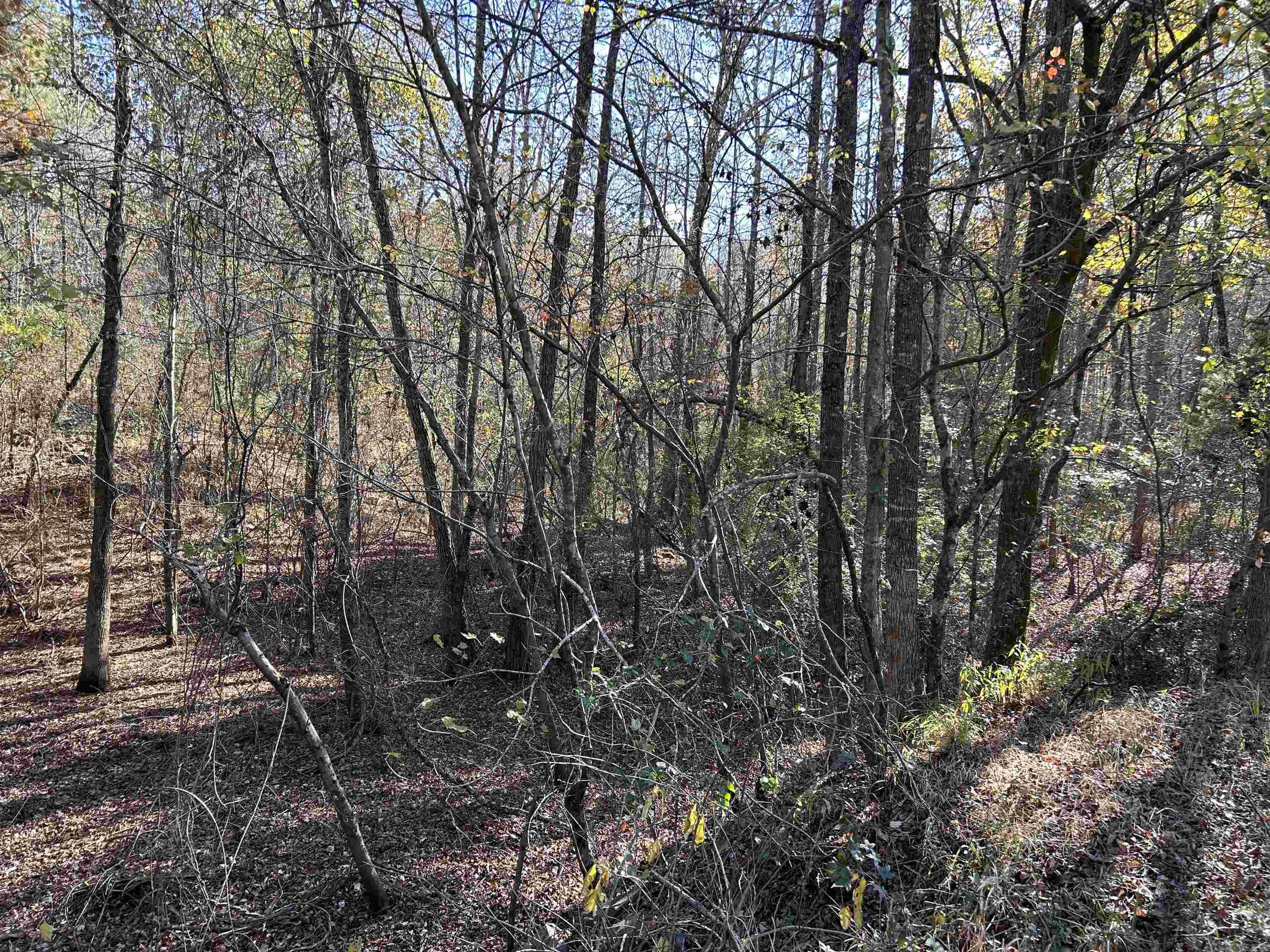 00  Dwight Little  Roland, AR