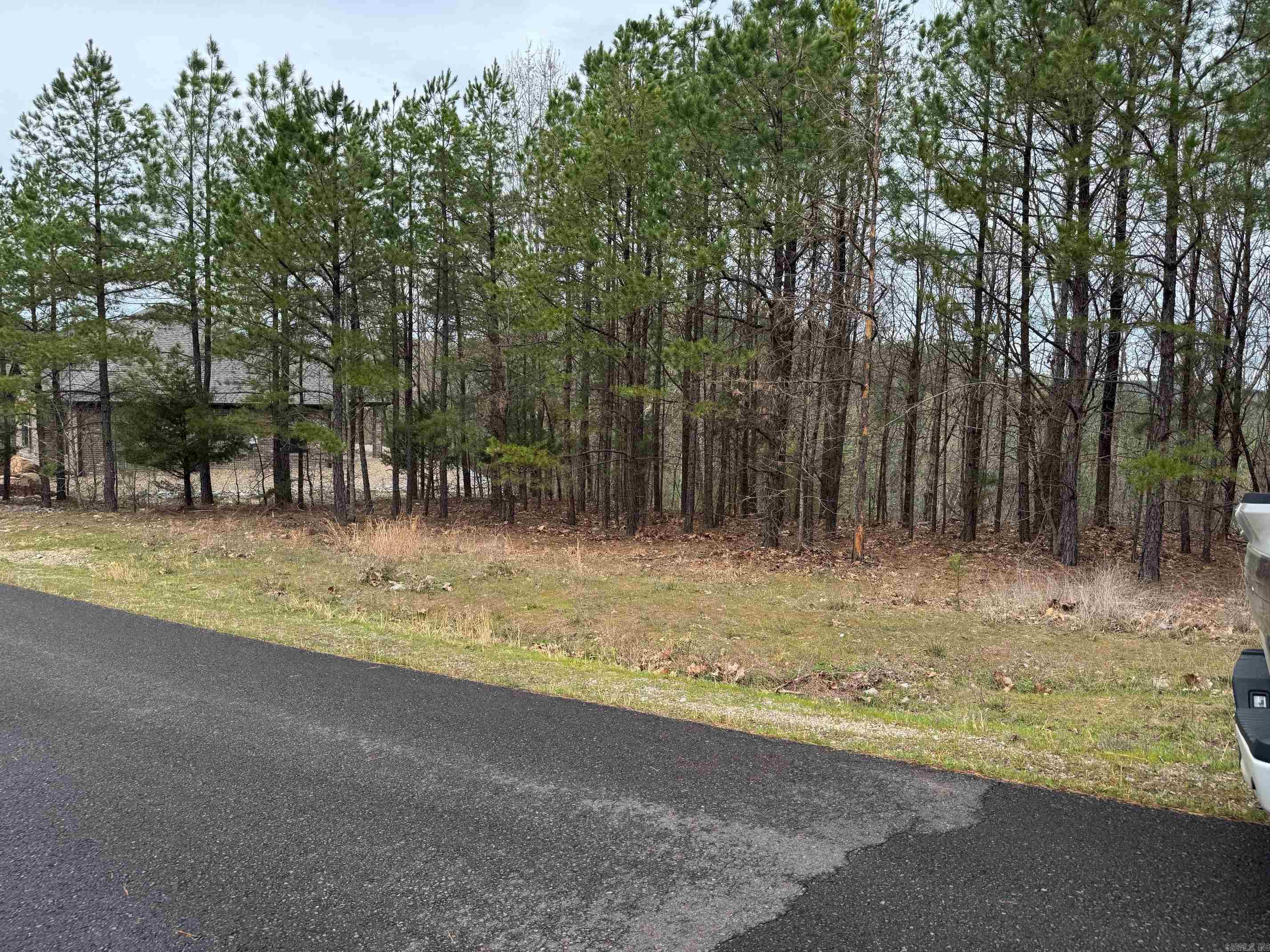 7  MORENO WAY  Hot Springs Village, AR