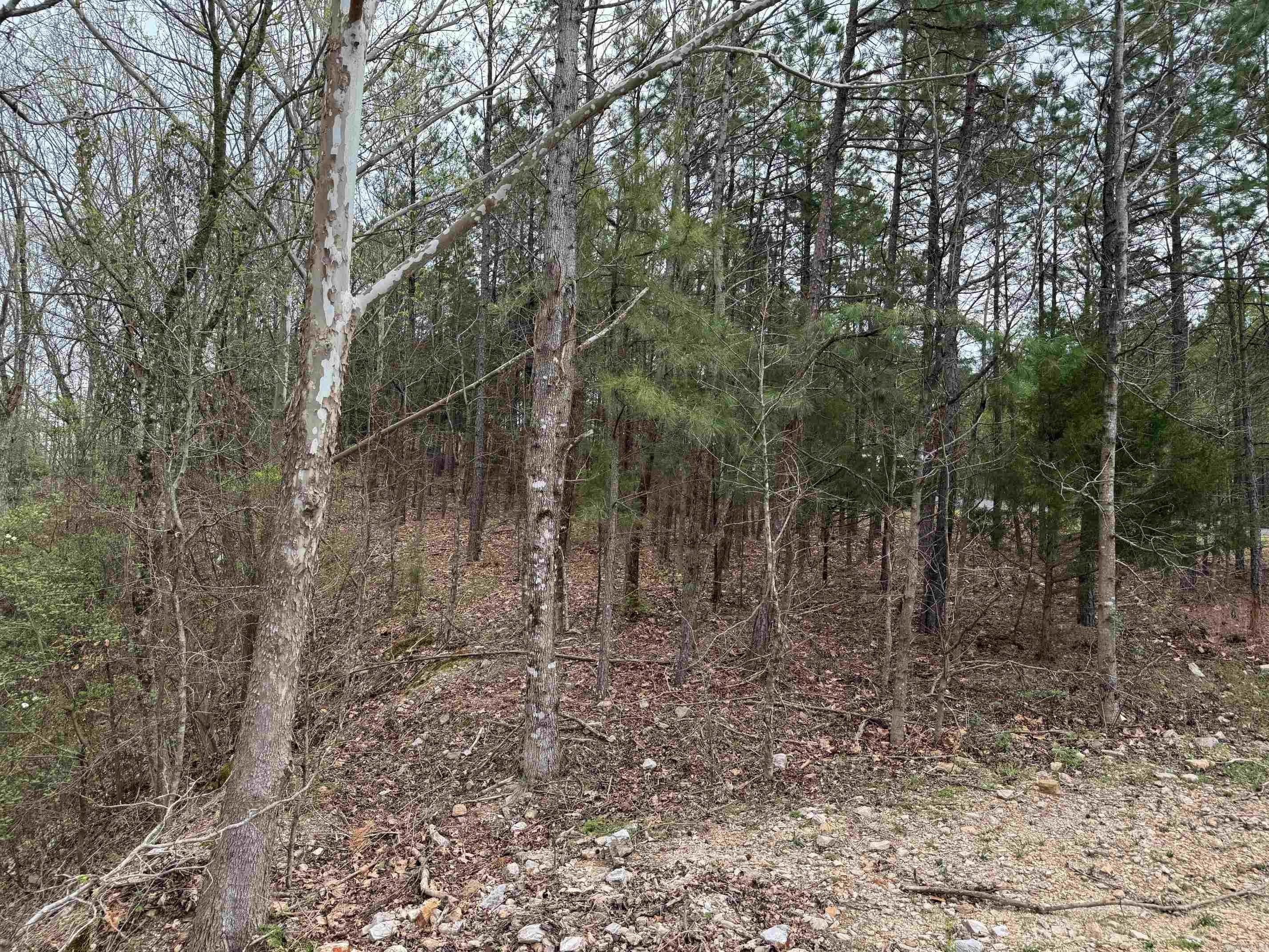 7  MORENO WAY  Hot Springs Village, AR