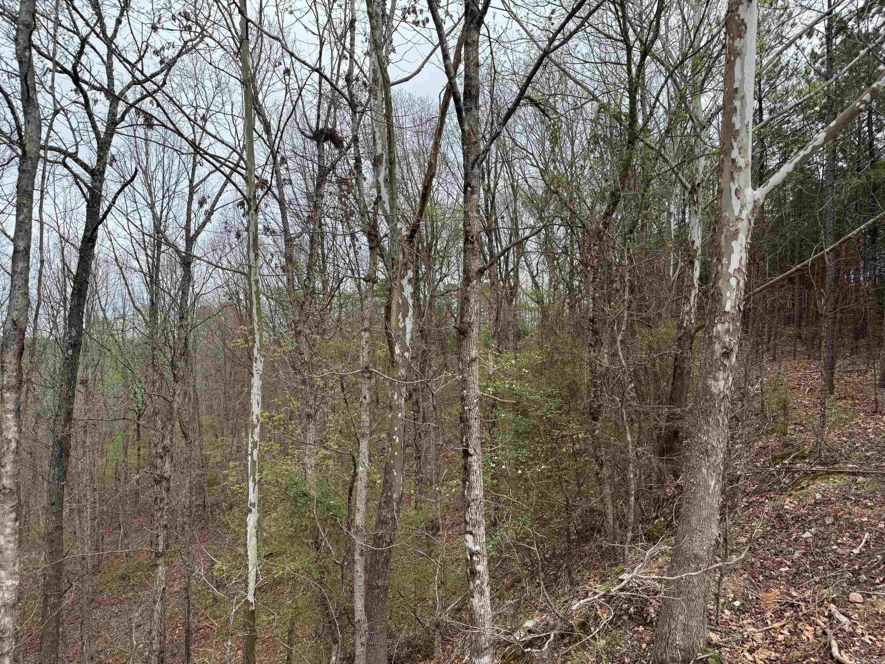 7  MORENO WAY  Hot Springs Village, AR