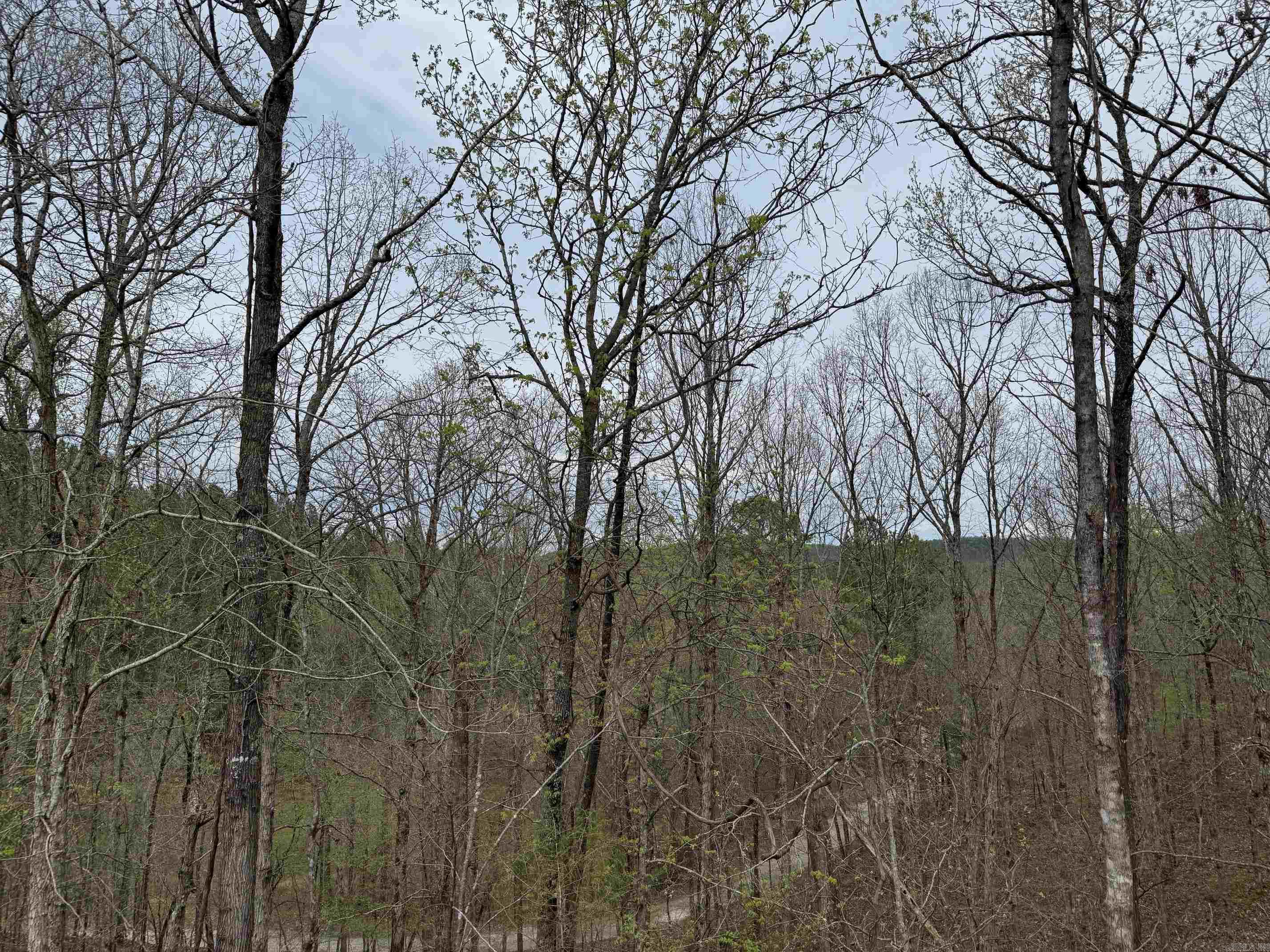 7  MORENO WAY  Hot Springs Village, AR