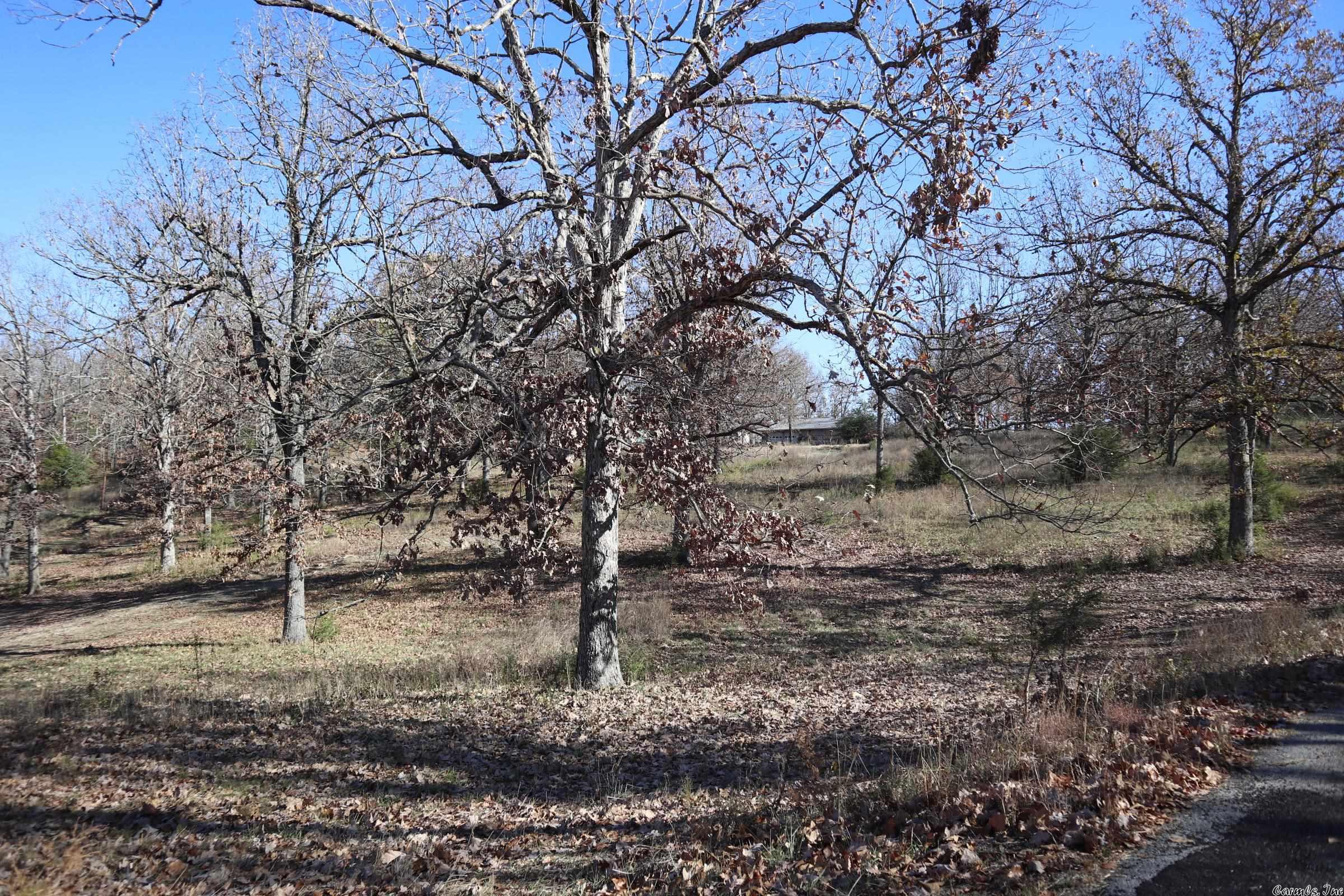 TBD  Fairview Rd  Salem, AR