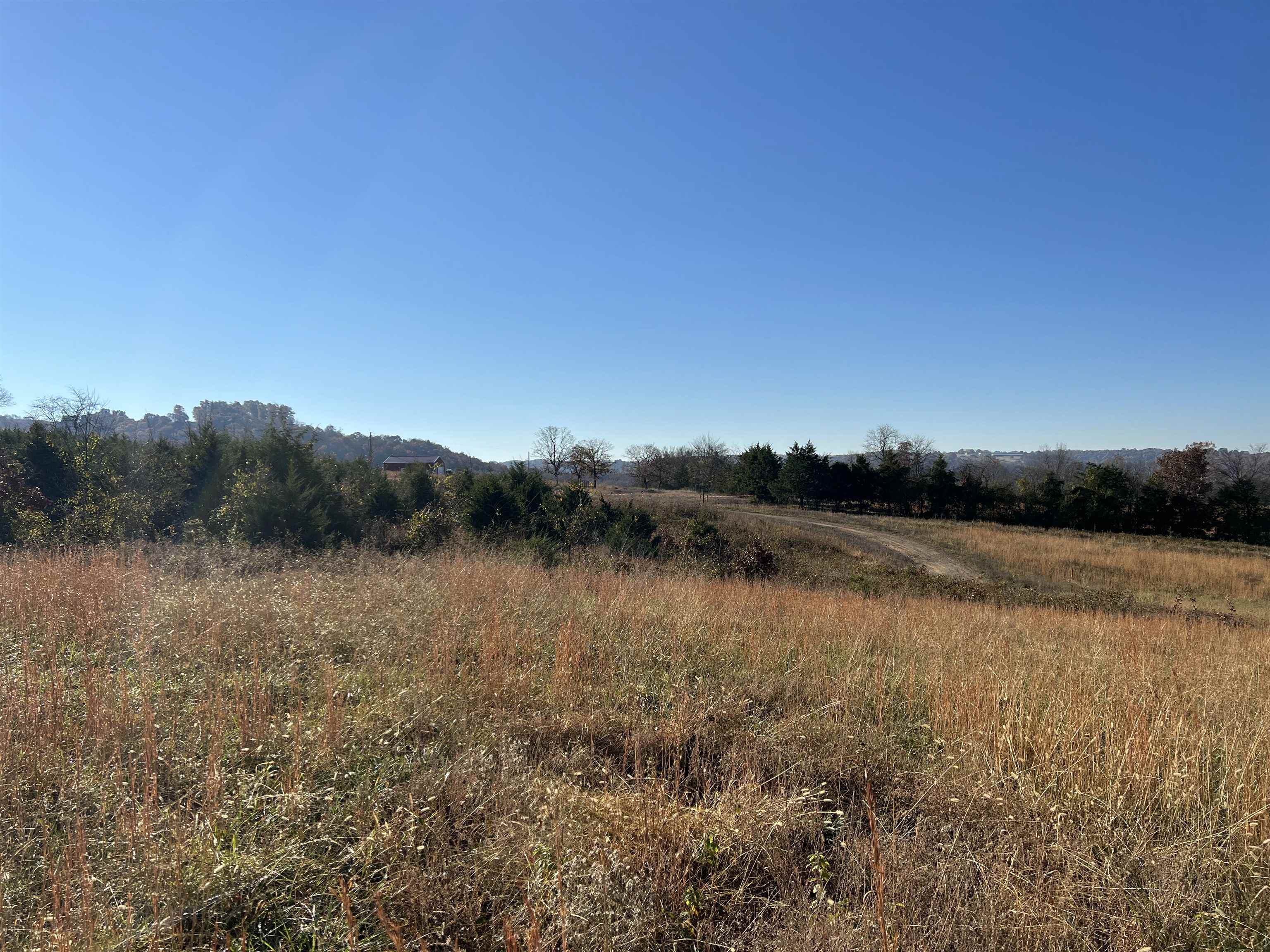   Tract J5 Whitetail  Harrison, AR
