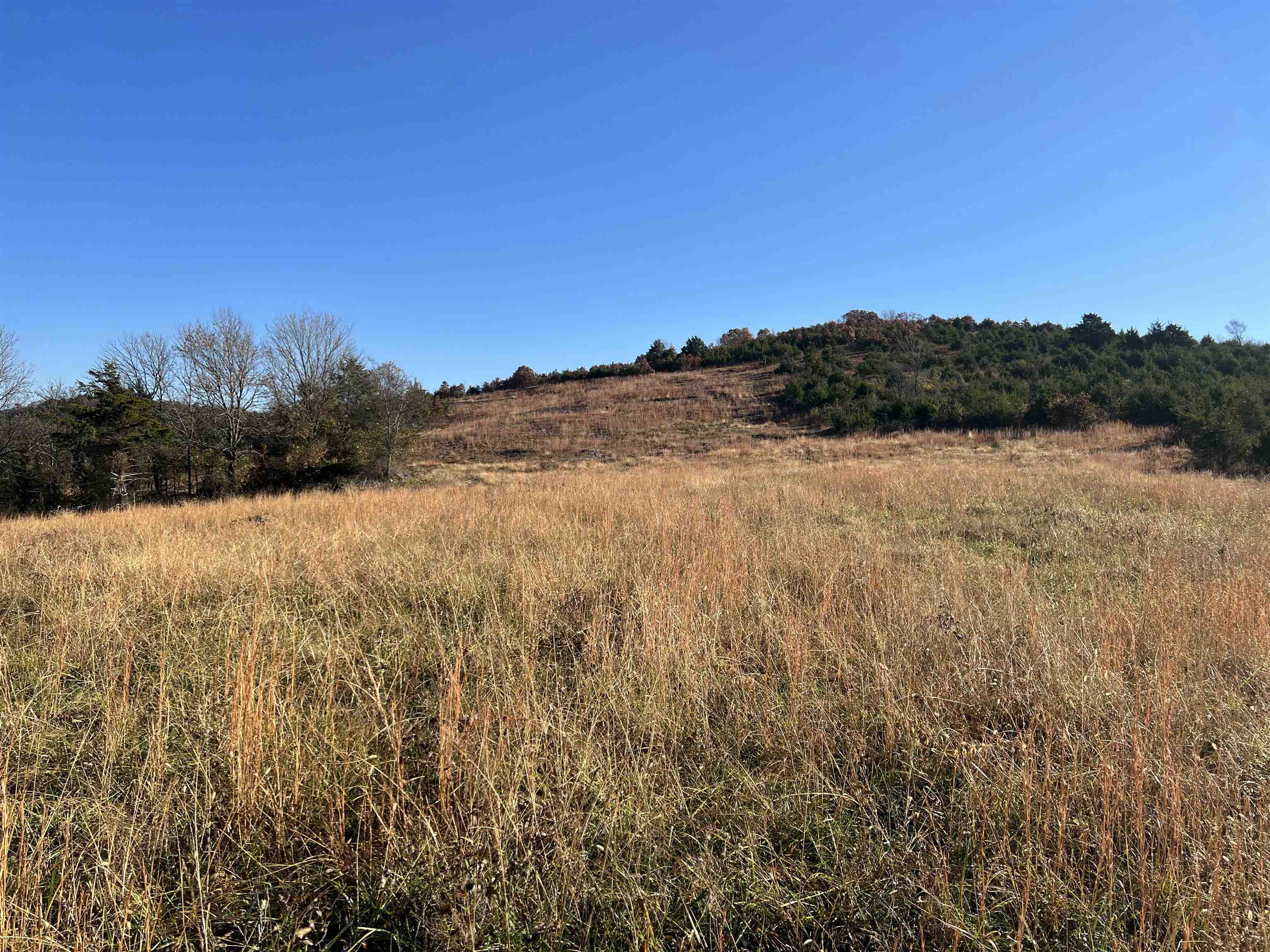   Tract J5 Whitetail  Harrison, AR