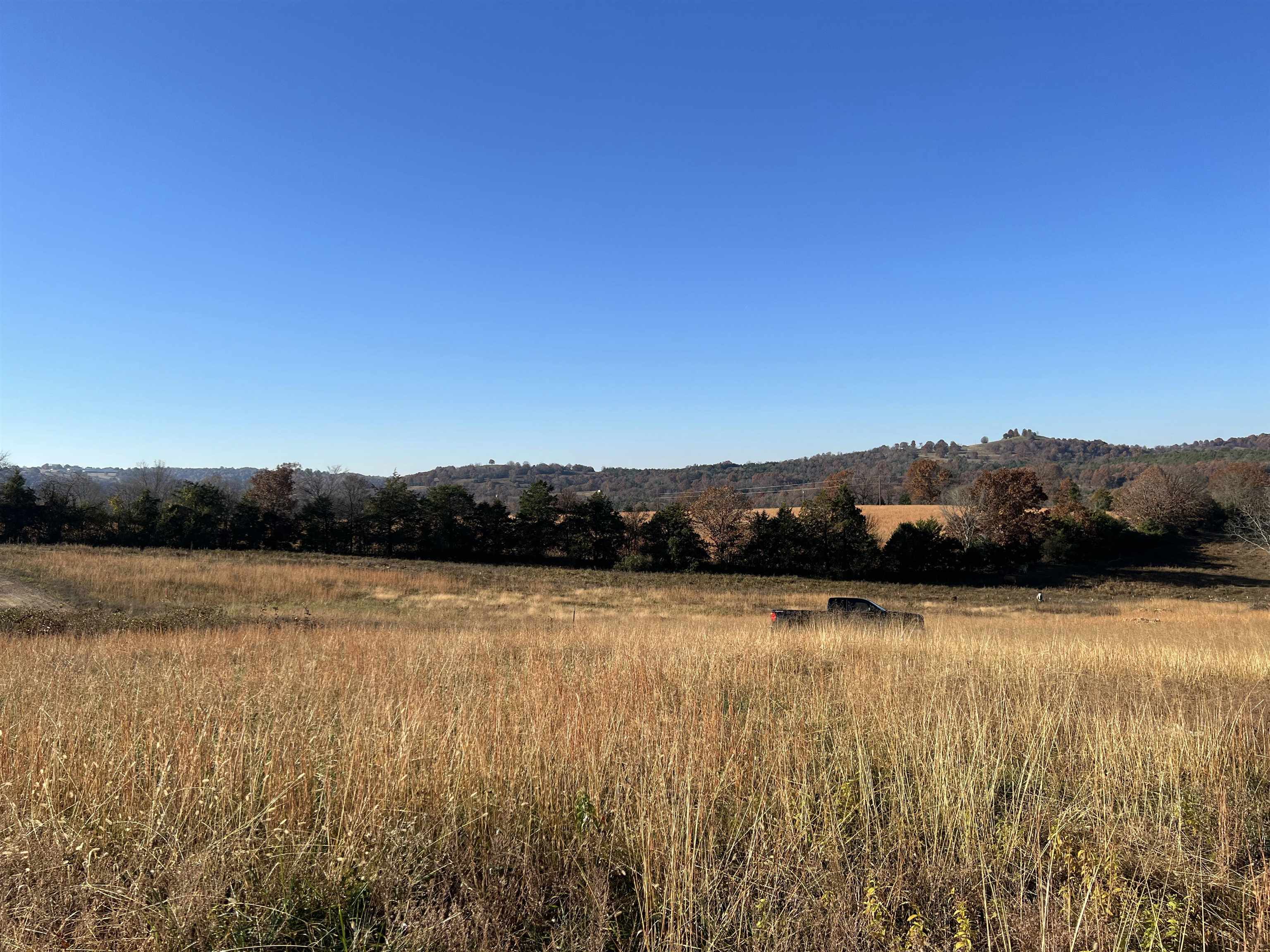   Tract J5 Whitetail  Harrison, AR