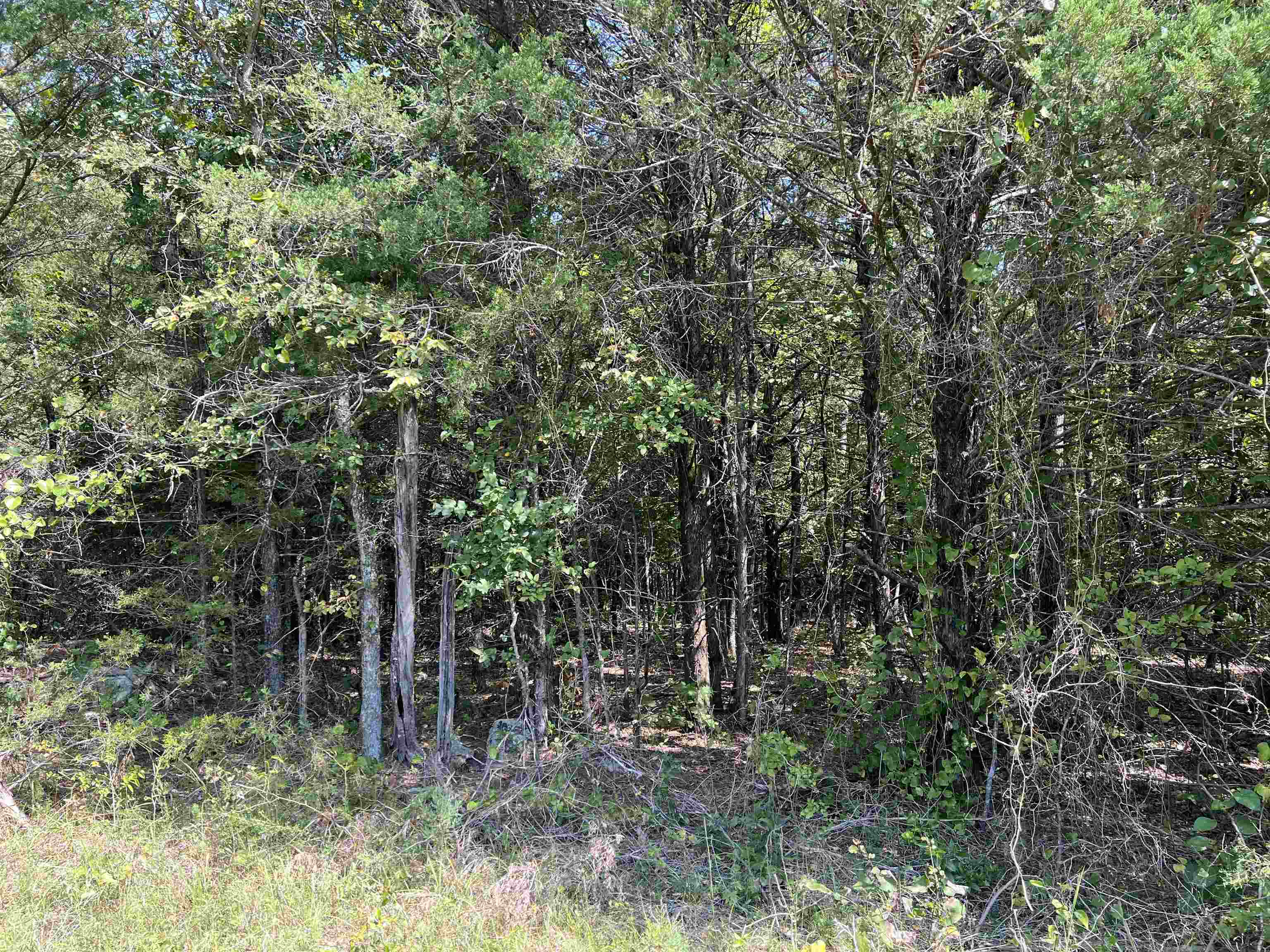 6.13 Acres off of Meadow Creek Drive, Harrison, AR 72601