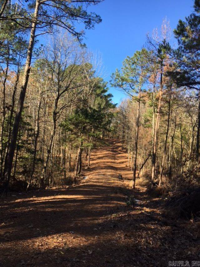Vaughn Lane, Mena, AR 71953
