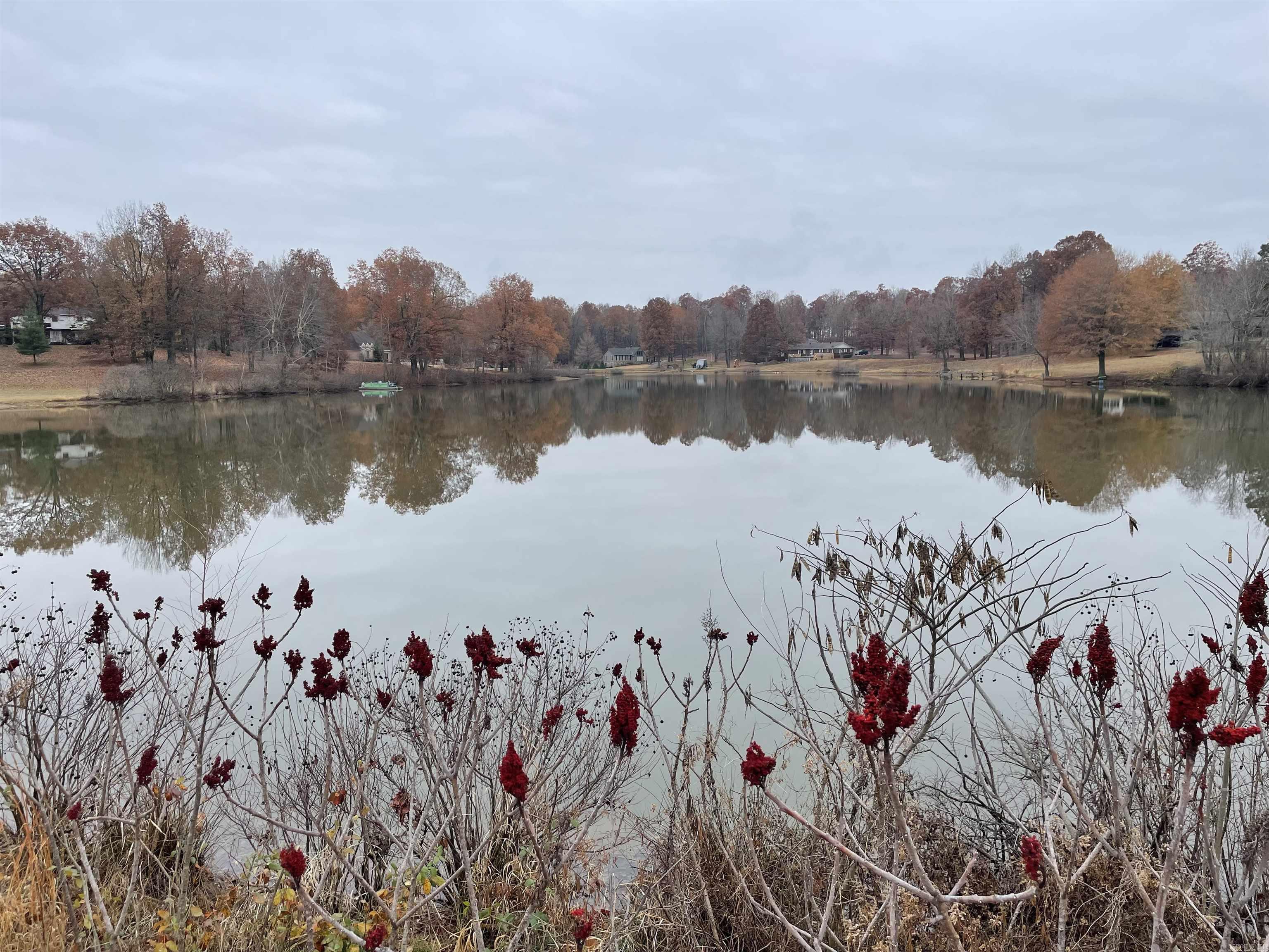   Clay  Piggott, AR