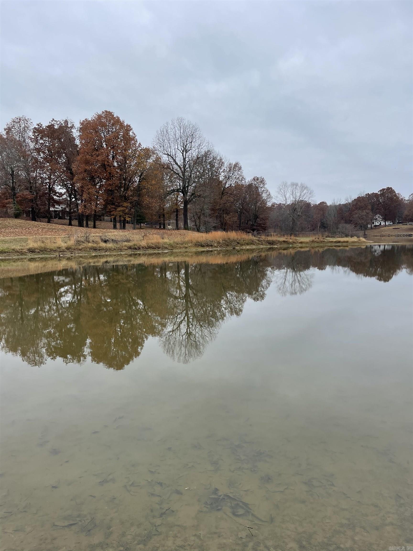   Clay  Piggott, AR