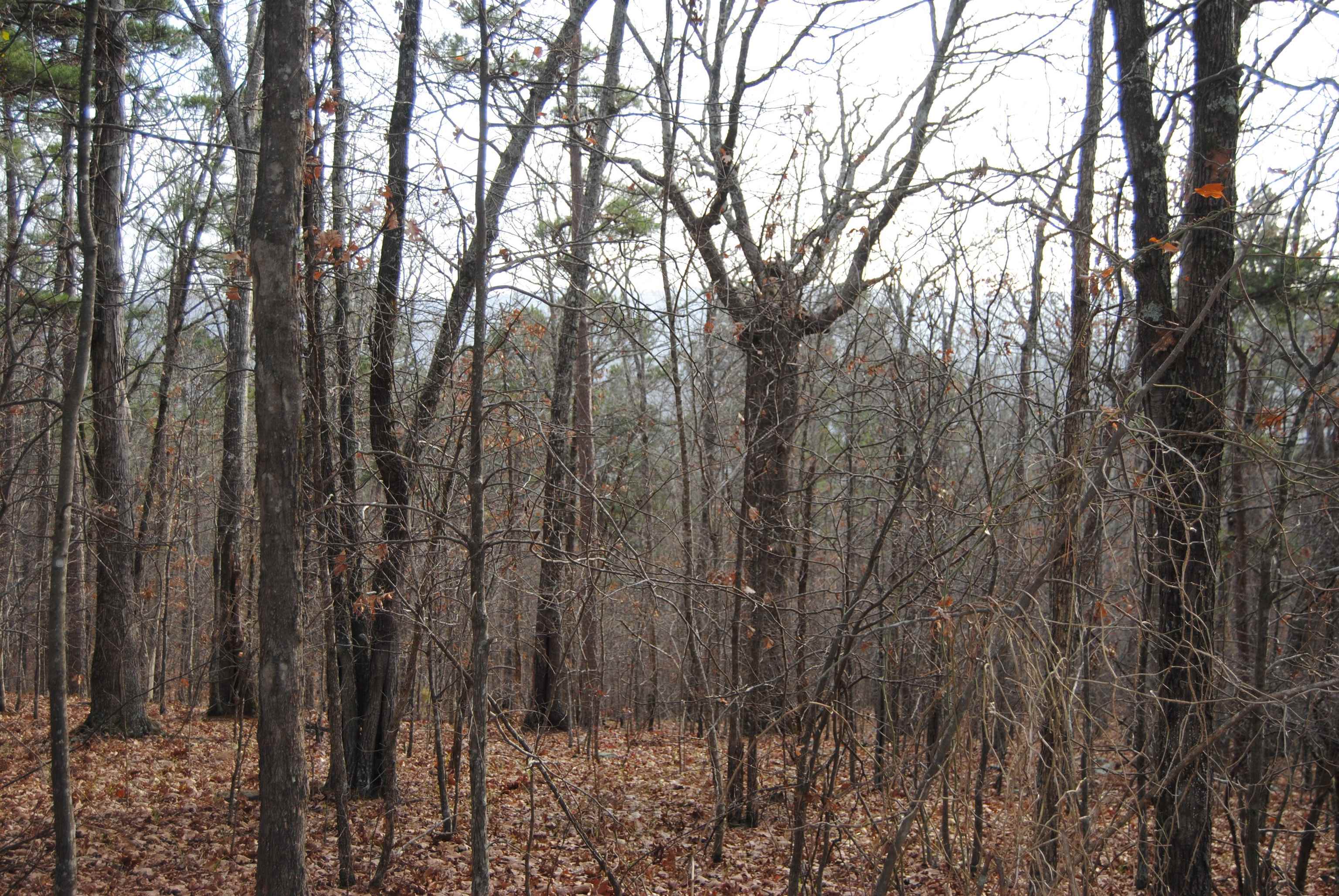 1315 PRISM DRIVE Leslie, AR 72645
