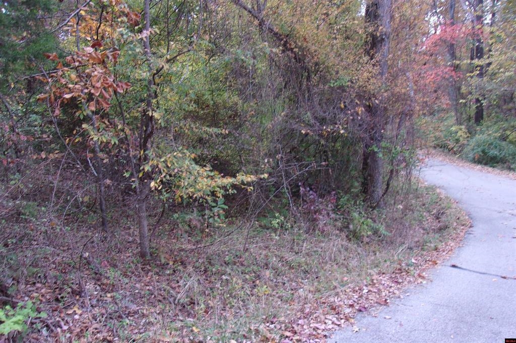 00 Flint Drive  Lakeview, AR