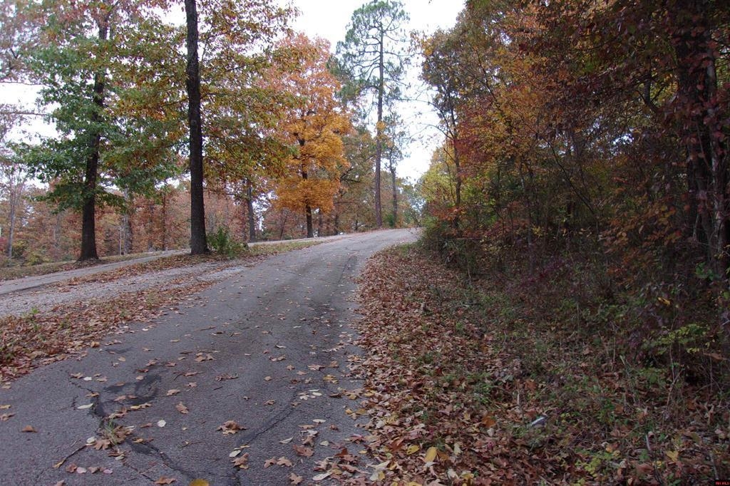 00  Flint Drive  Lakeview, AR
