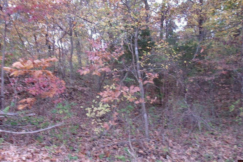 00  Flint Drive  Lakeview, AR