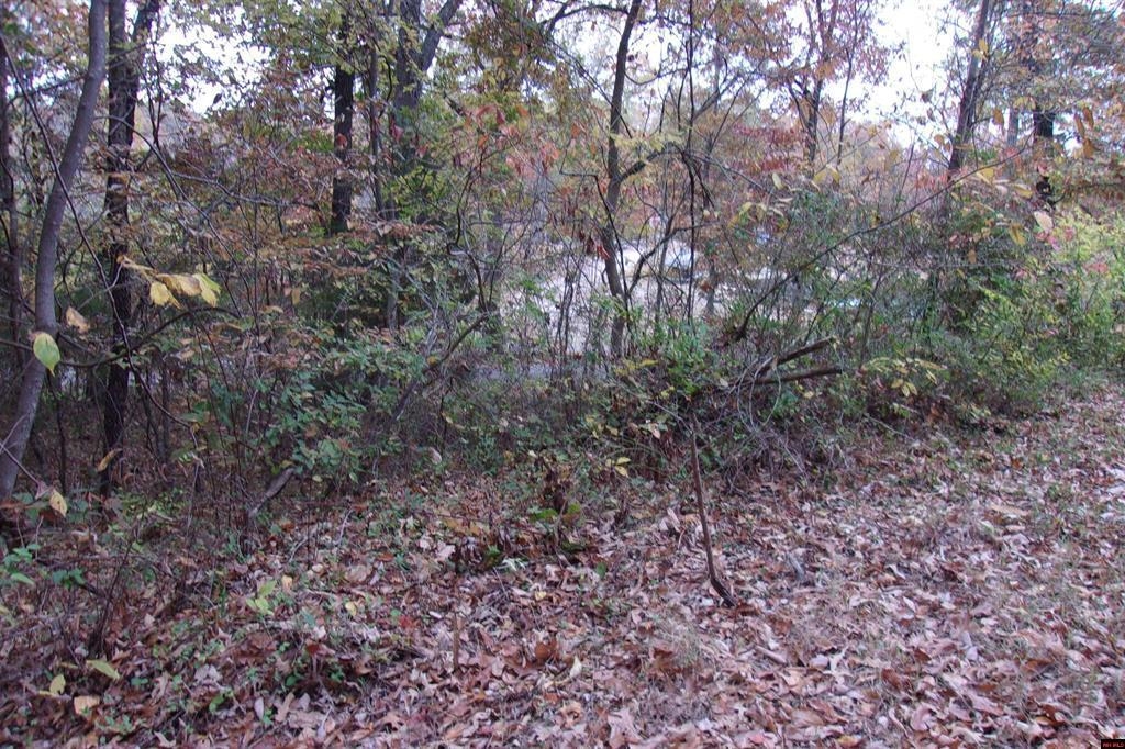 00  Flint Drive  Lakeview, AR
