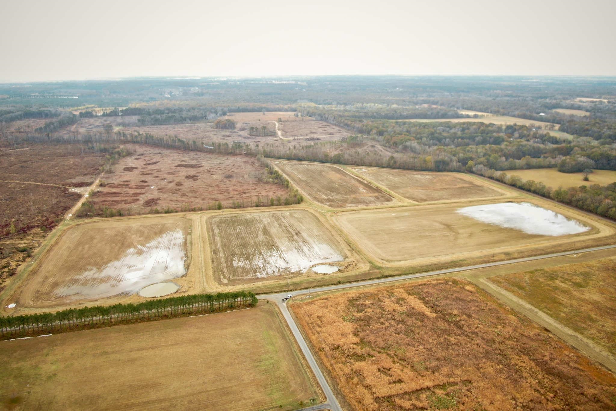 whiskers rd. Drive, Ward, AR 72176