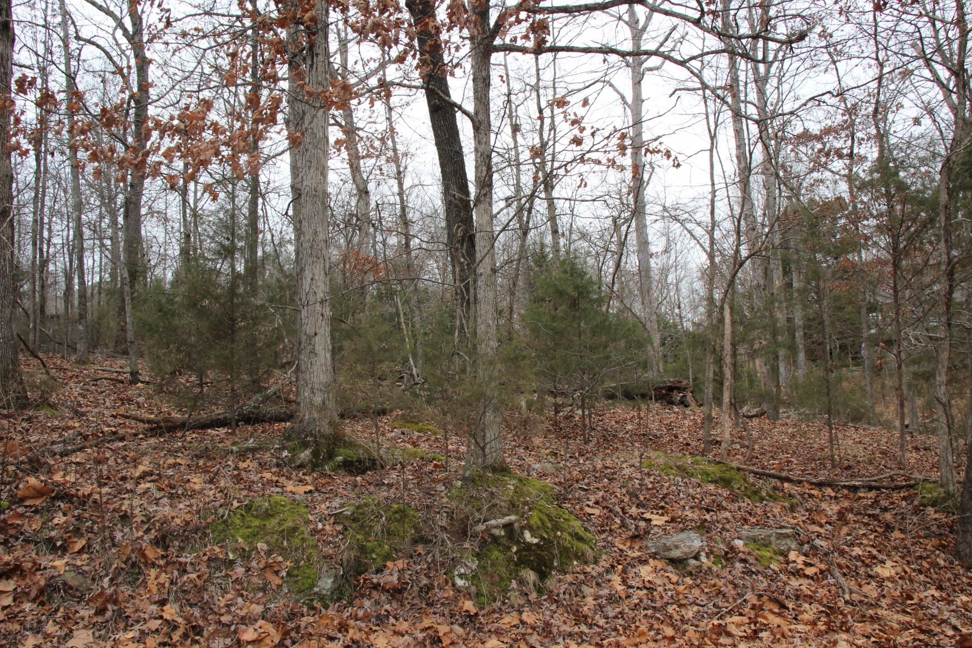 Lot 21  Woodstone  Bull Shoals, AR