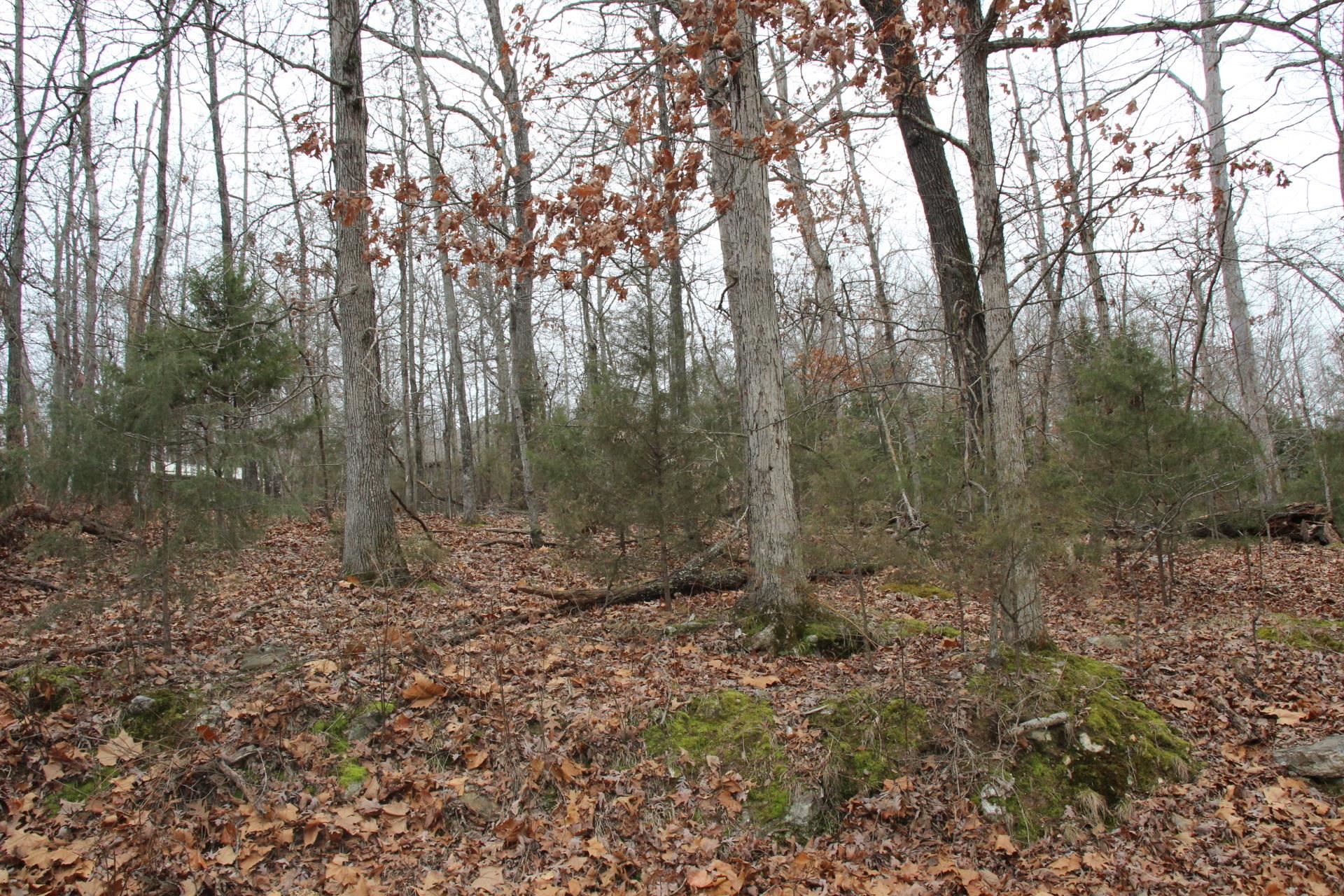 Lot 21  Woodstone  Bull Shoals, AR