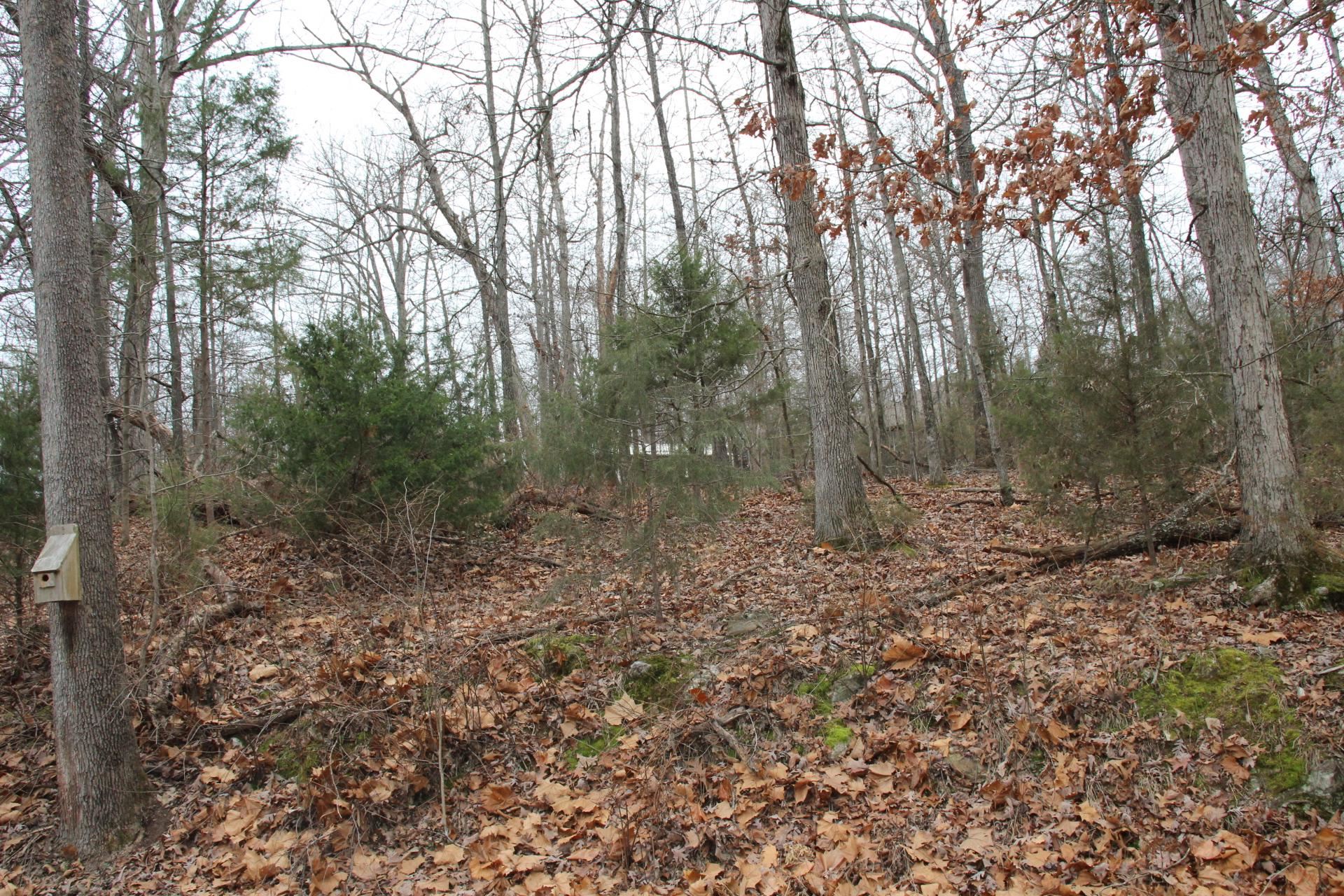 Lot 21  Woodstone  Bull Shoals, AR