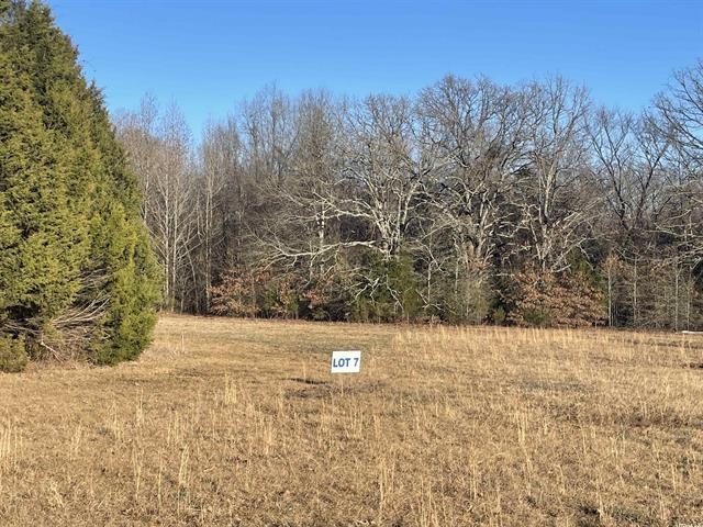 82 Addi Ln, Conway, AR 72032