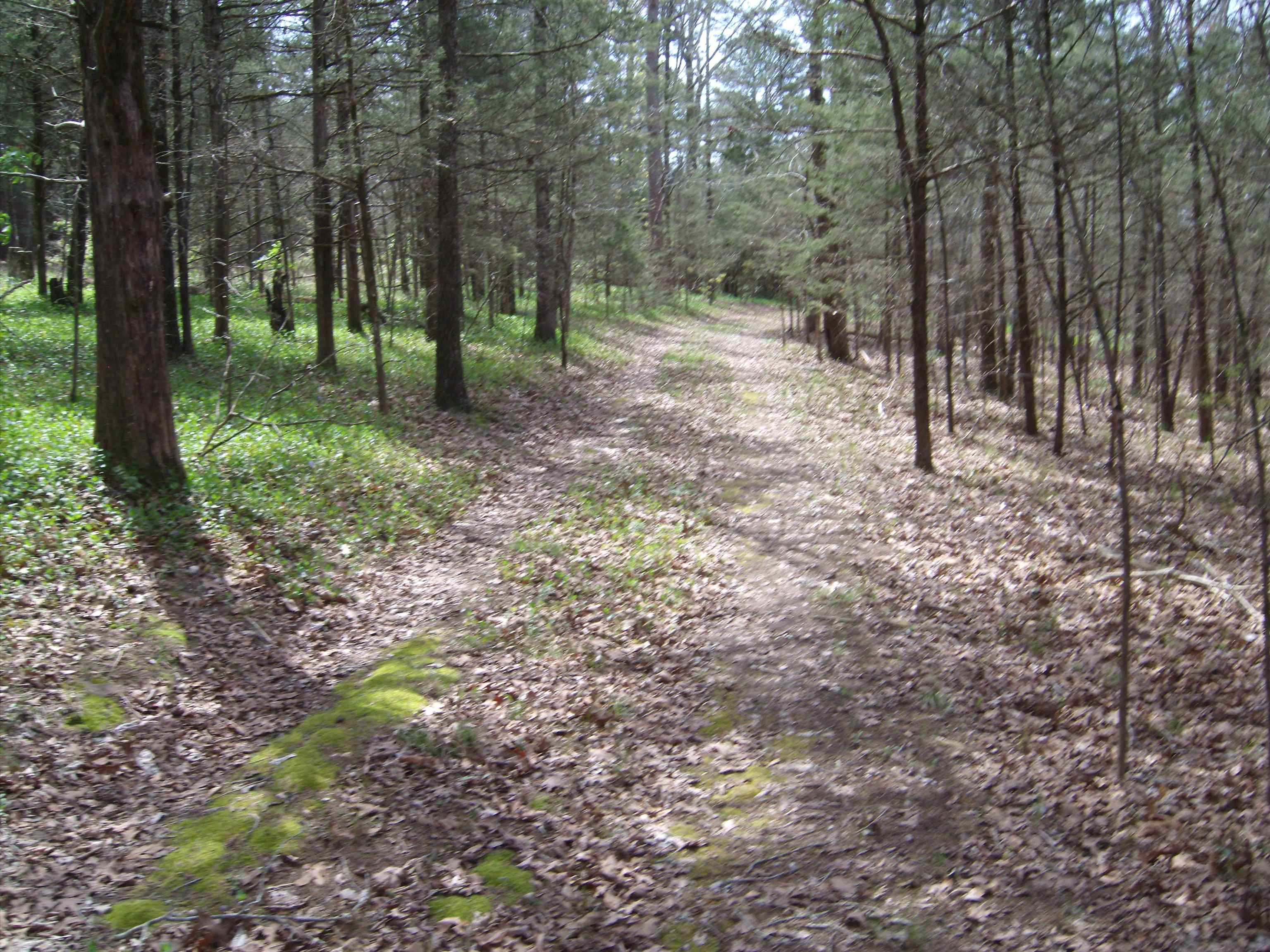Old Hwy 25 W  Tumbling Shoals  Tumbling Shoals, AR