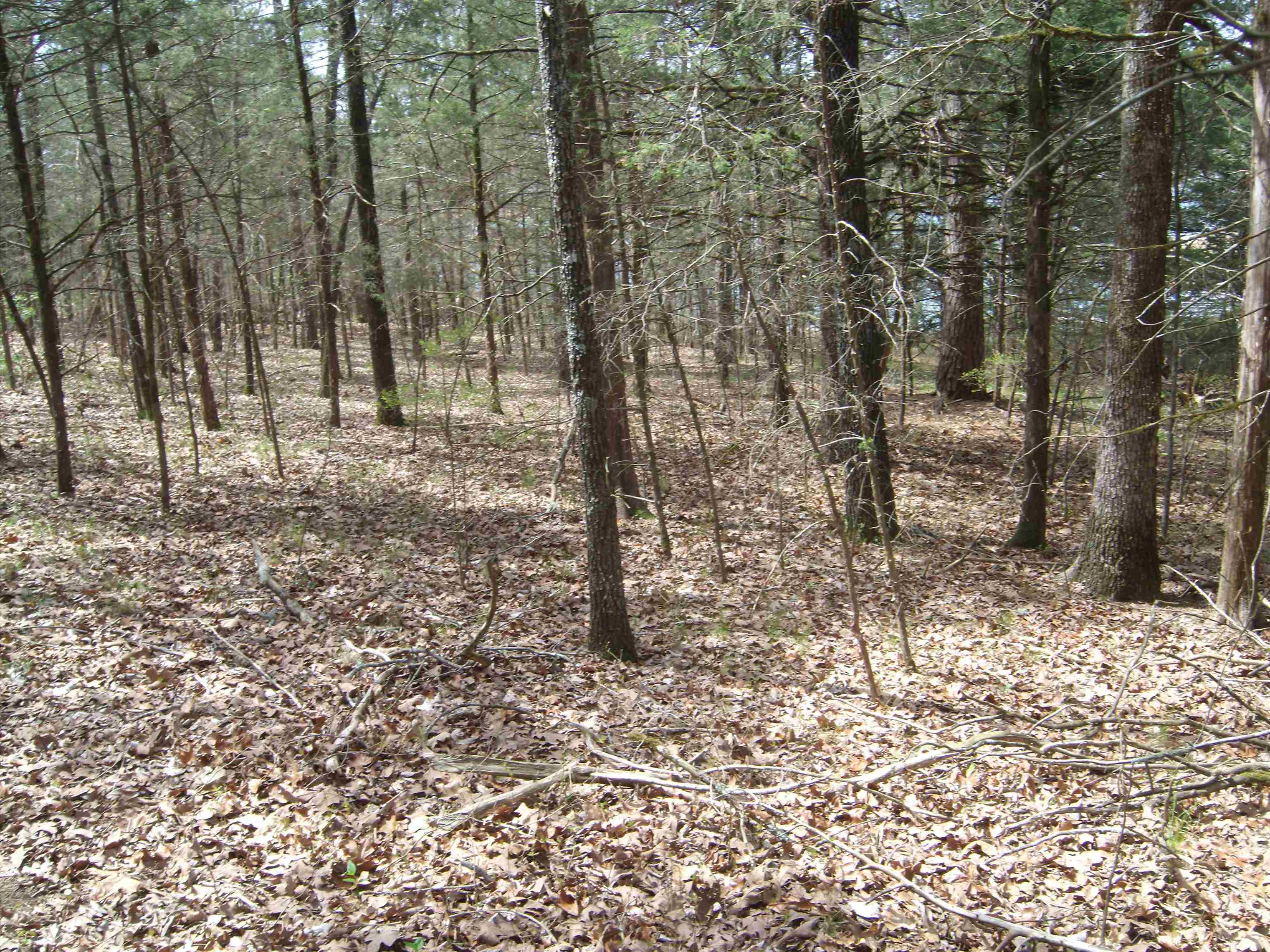 Old Hwy 25 W  Tumbling Shoals  Tumbling Shoals, AR