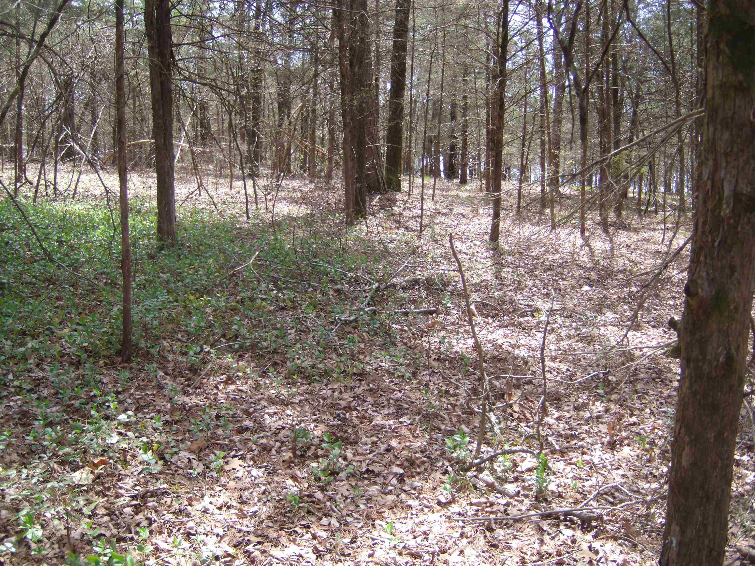 Old Hwy 25 W  Tumbling Shoals  Tumbling Shoals, AR