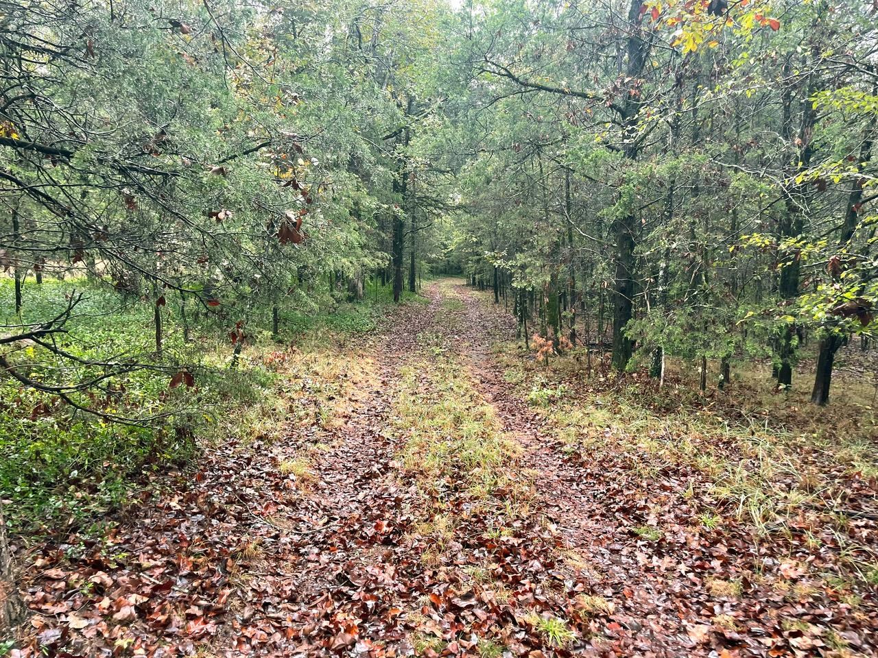 Old Hwy 25 W  Tumbling Shoals  Tumbling Shoals, AR