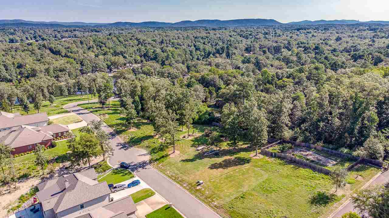 Lot 10  Gibbins  Hot Springs, AR