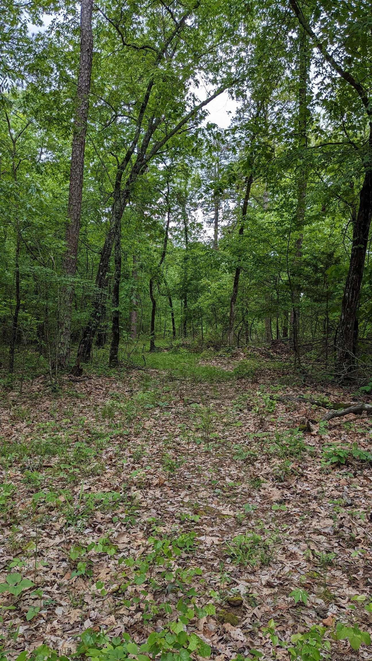 69.98 Acres  HWY 154  Morrilton, AR