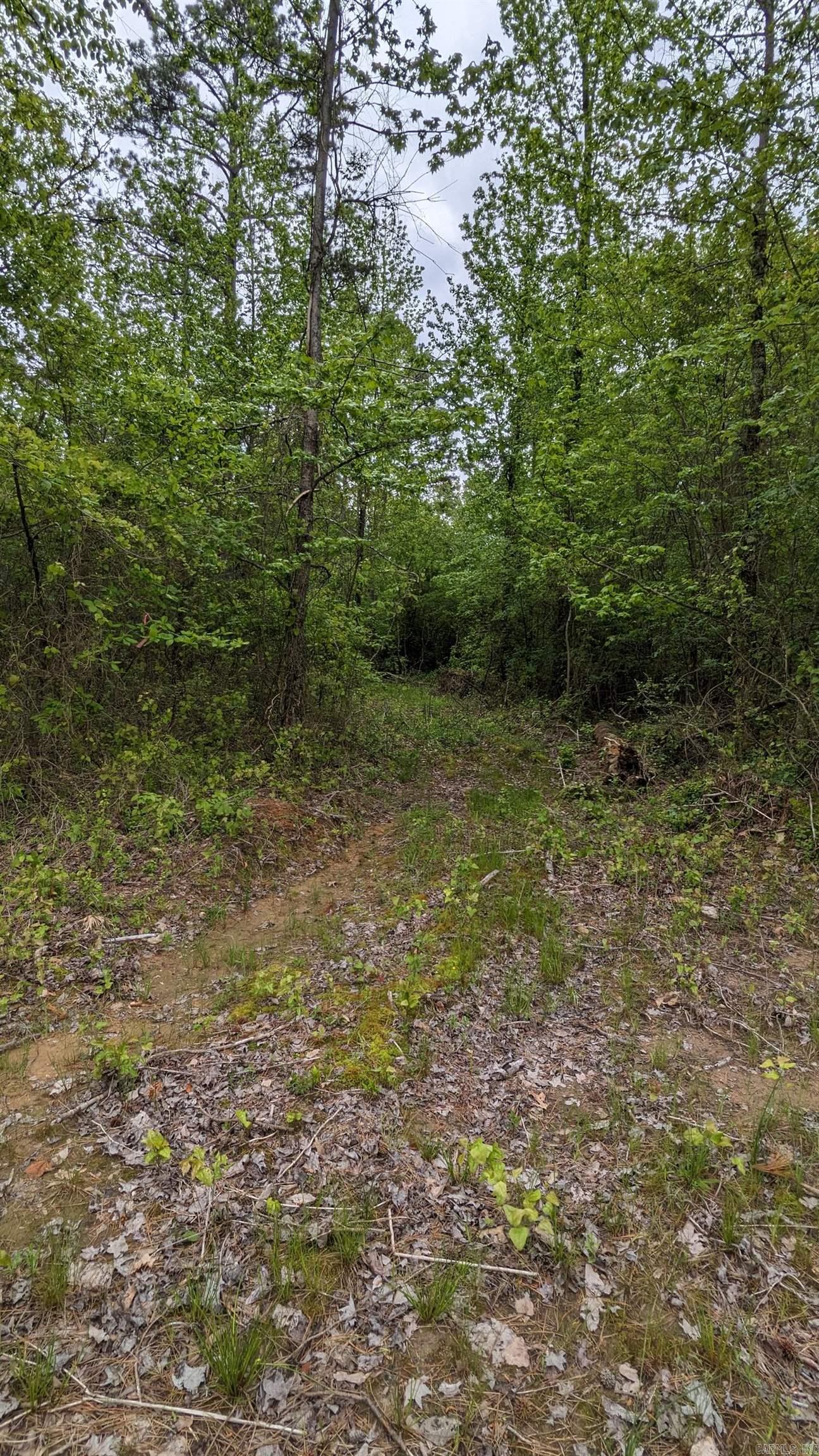 69.98 Acres  HWY 154  Morrilton, AR