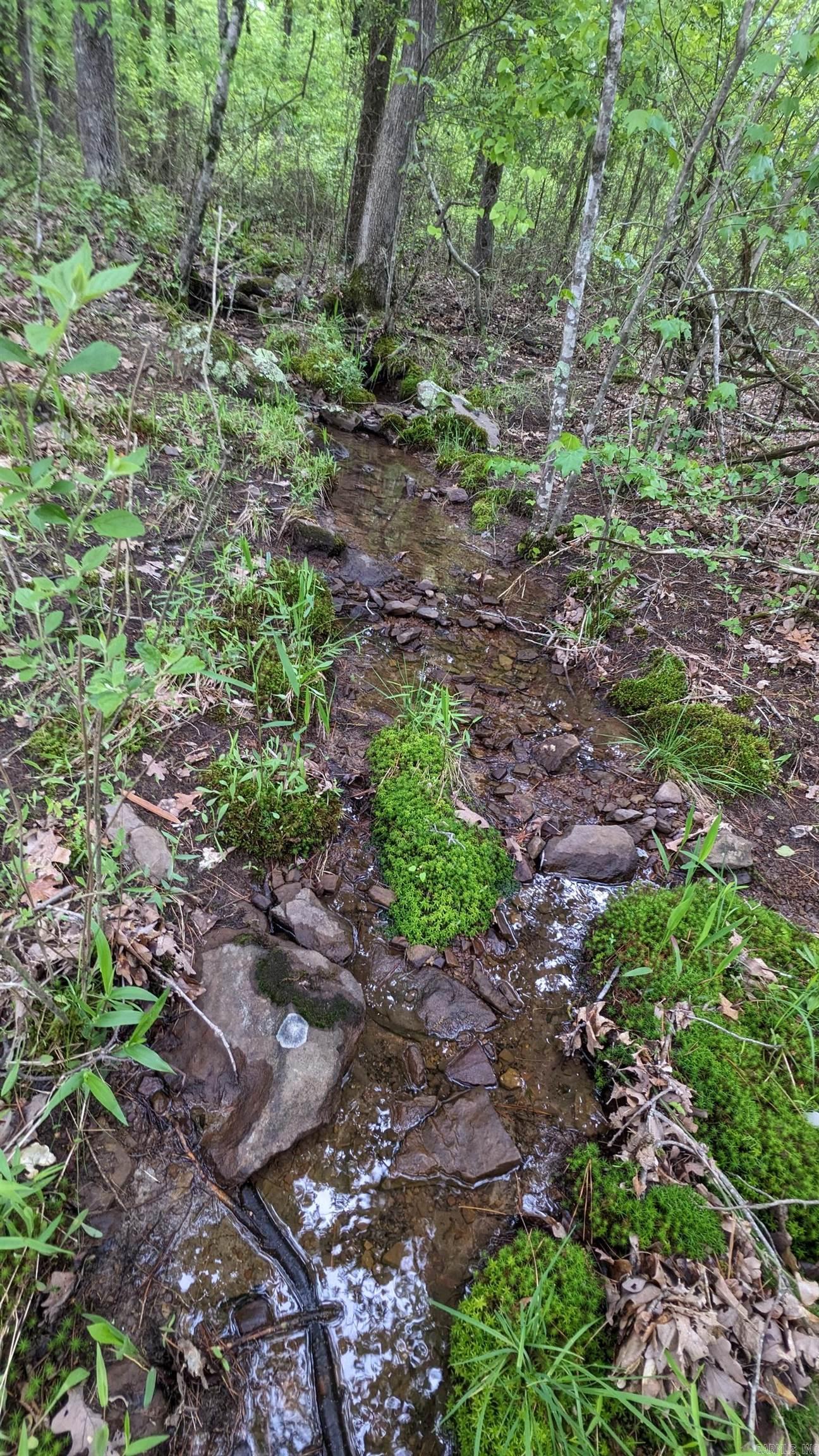 69.98 Acres  HWY 154  Morrilton, AR