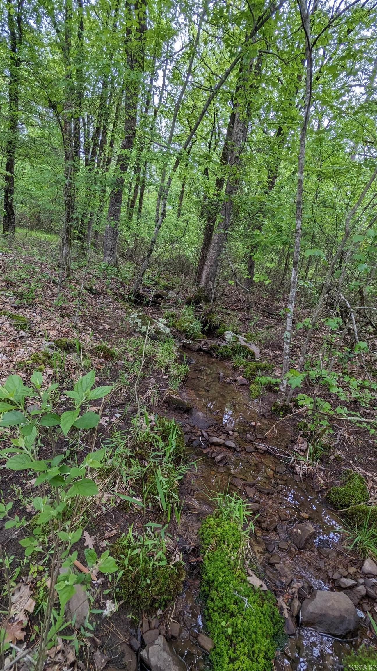 69.98 Acres  HWY 154  Morrilton, AR