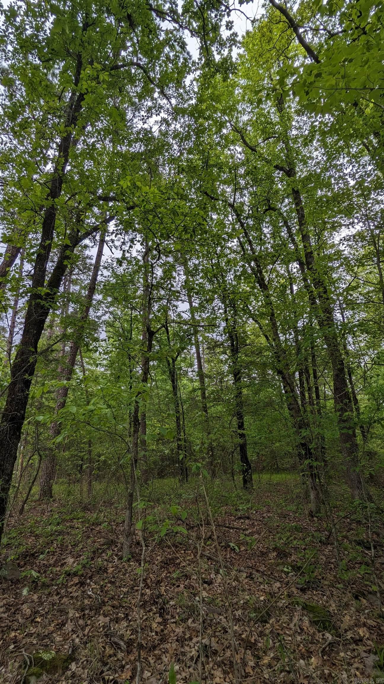 69.98 Acres  HWY 154  Morrilton, AR