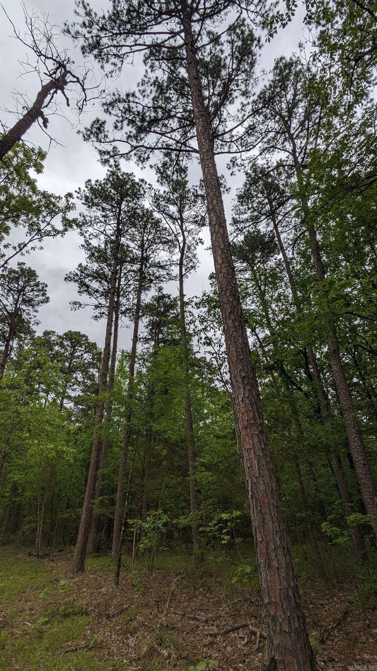 69.98 Acres  HWY 154  Morrilton, AR
