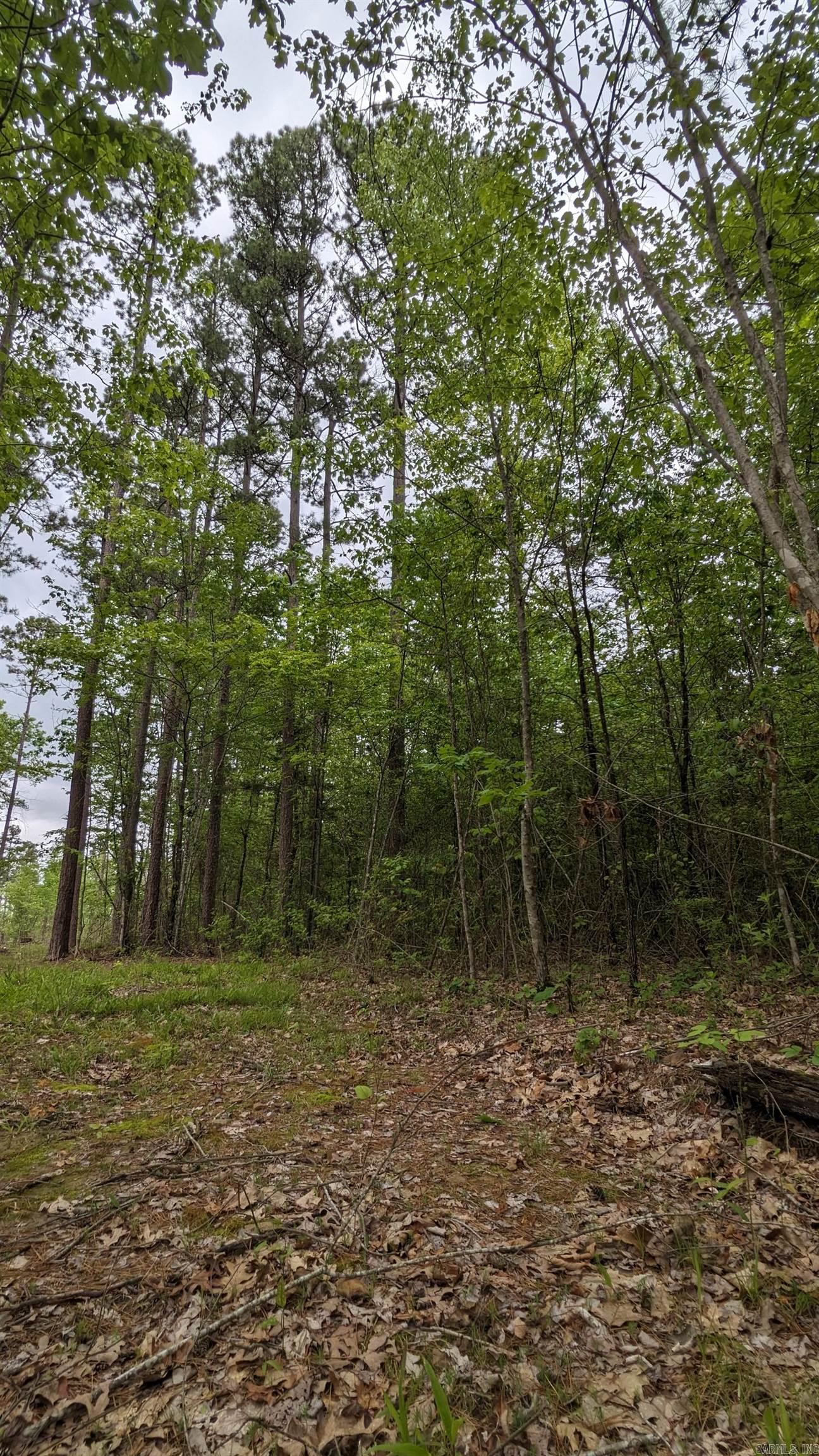69.98 Acres  HWY 154  Morrilton, AR