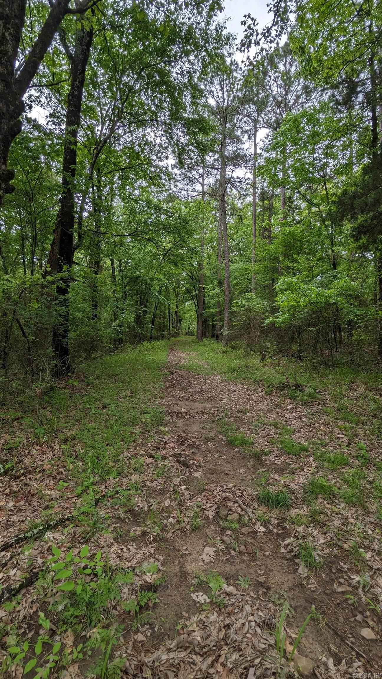 69.98 Acres  HWY 154  Morrilton, AR