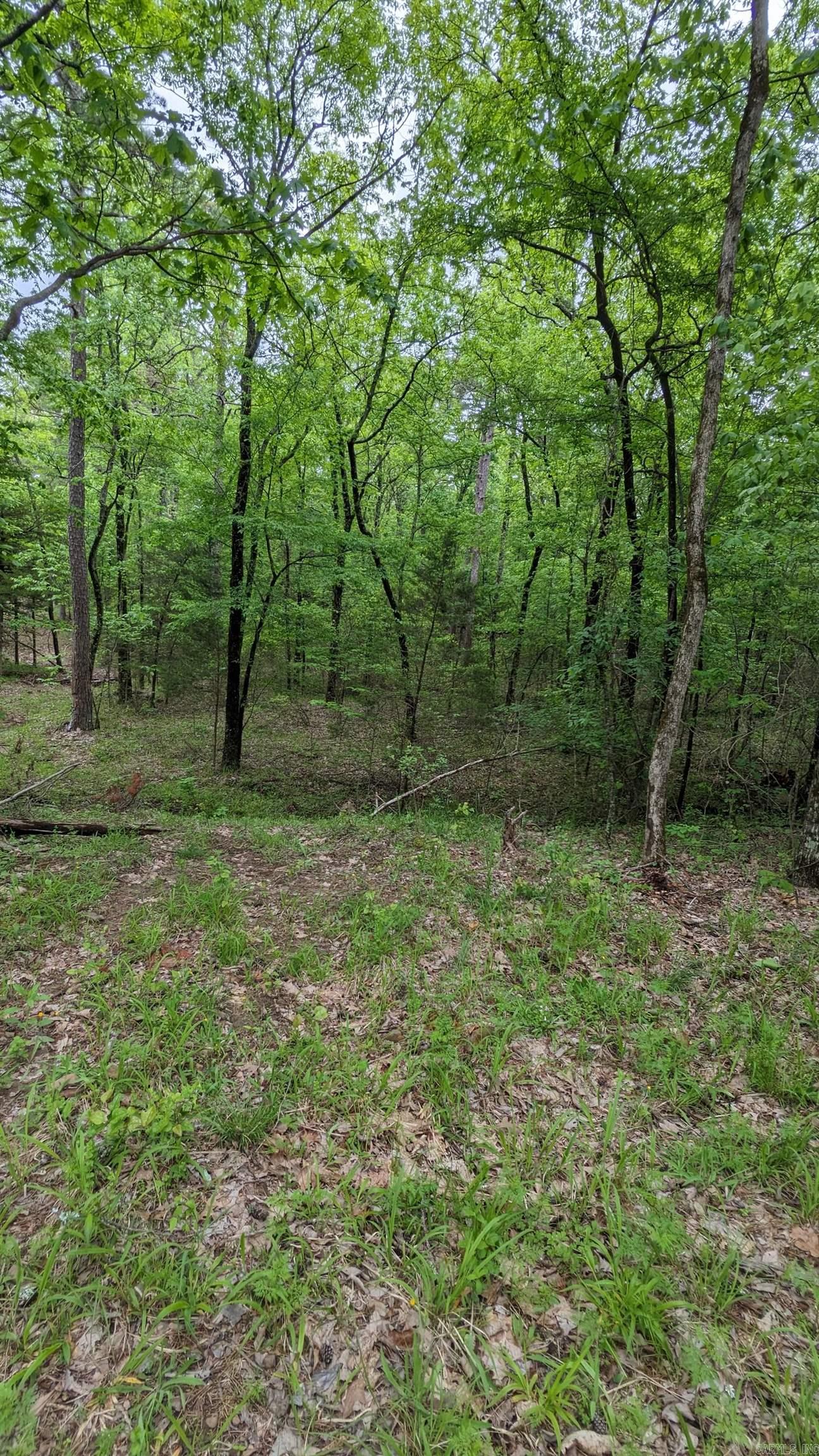 69.98 Acres  HWY 154  Morrilton, AR