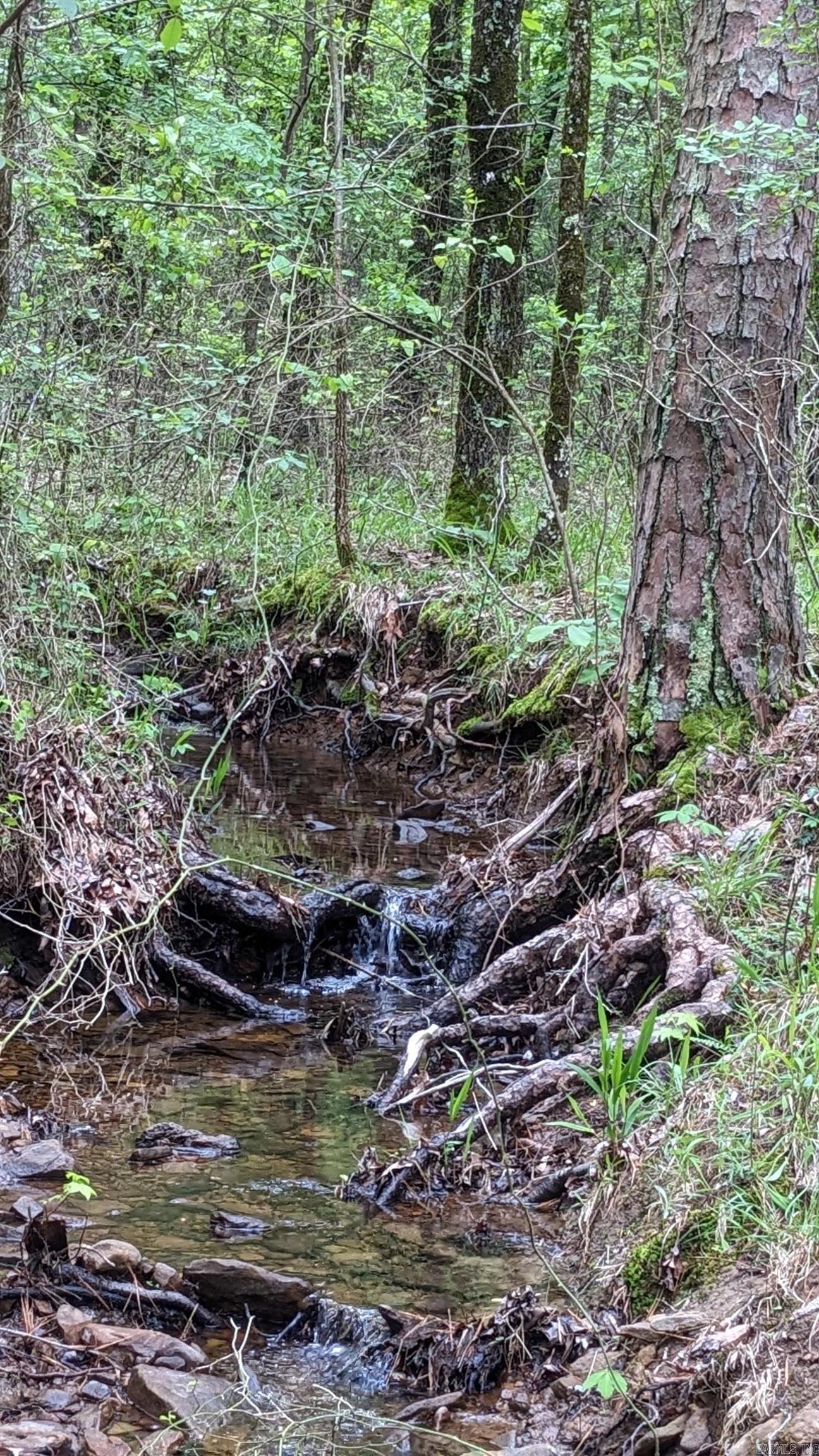 69.98 Acres  HWY 154  Morrilton, AR